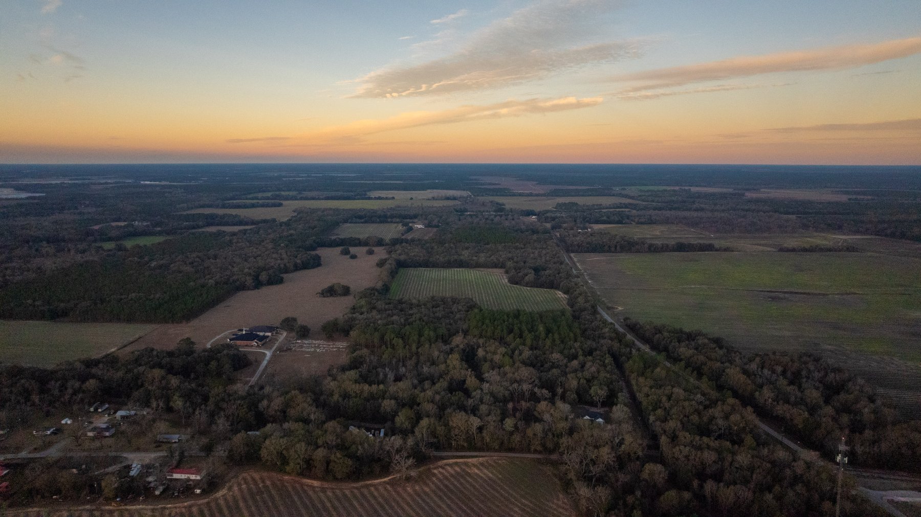 Image for The Cochran Farm - 328+/- Total Acres - Irrigated Row Crop Farm - Beautiful Pine & Hardwoods