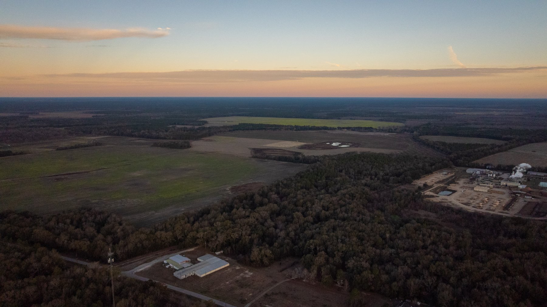 Image for The Cochran Farm - 328+/- Total Acres - Irrigated Row Crop Farm - Beautiful Pine & Hardwoods