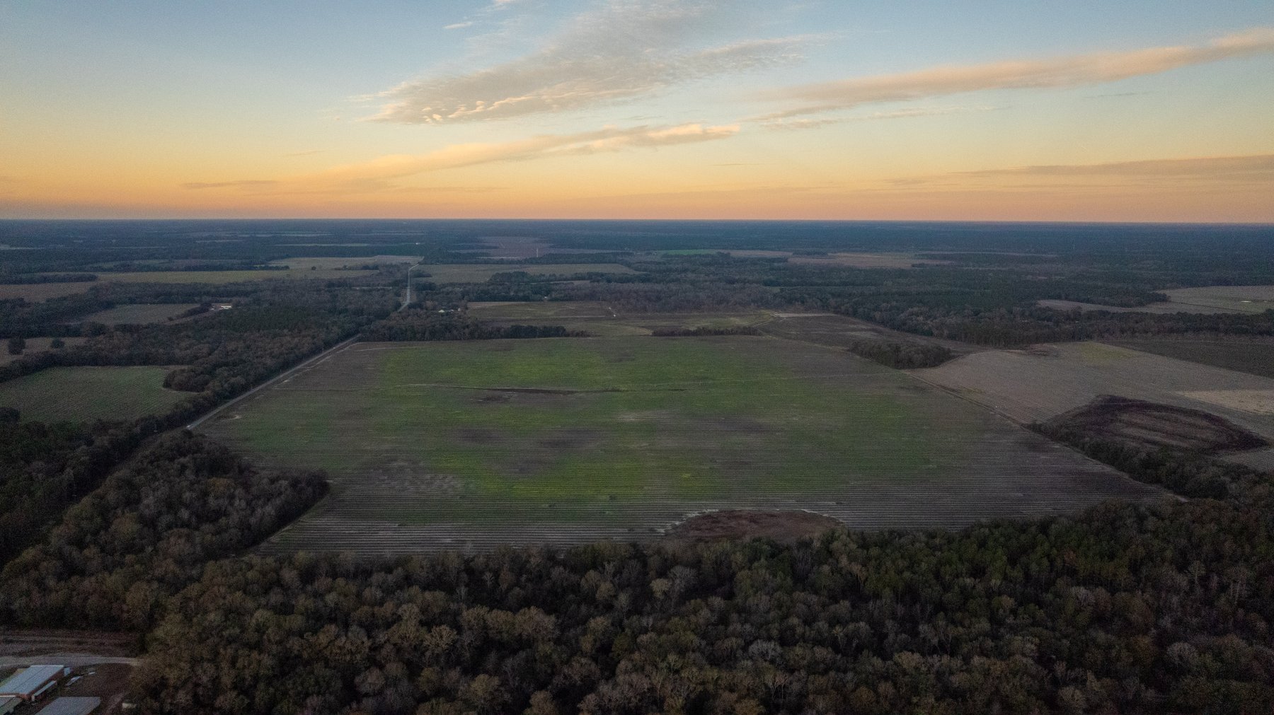 Image for The Cochran Farm - 328+/- Total Acres - Irrigated Row Crop Farm - Beautiful Pine & Hardwoods