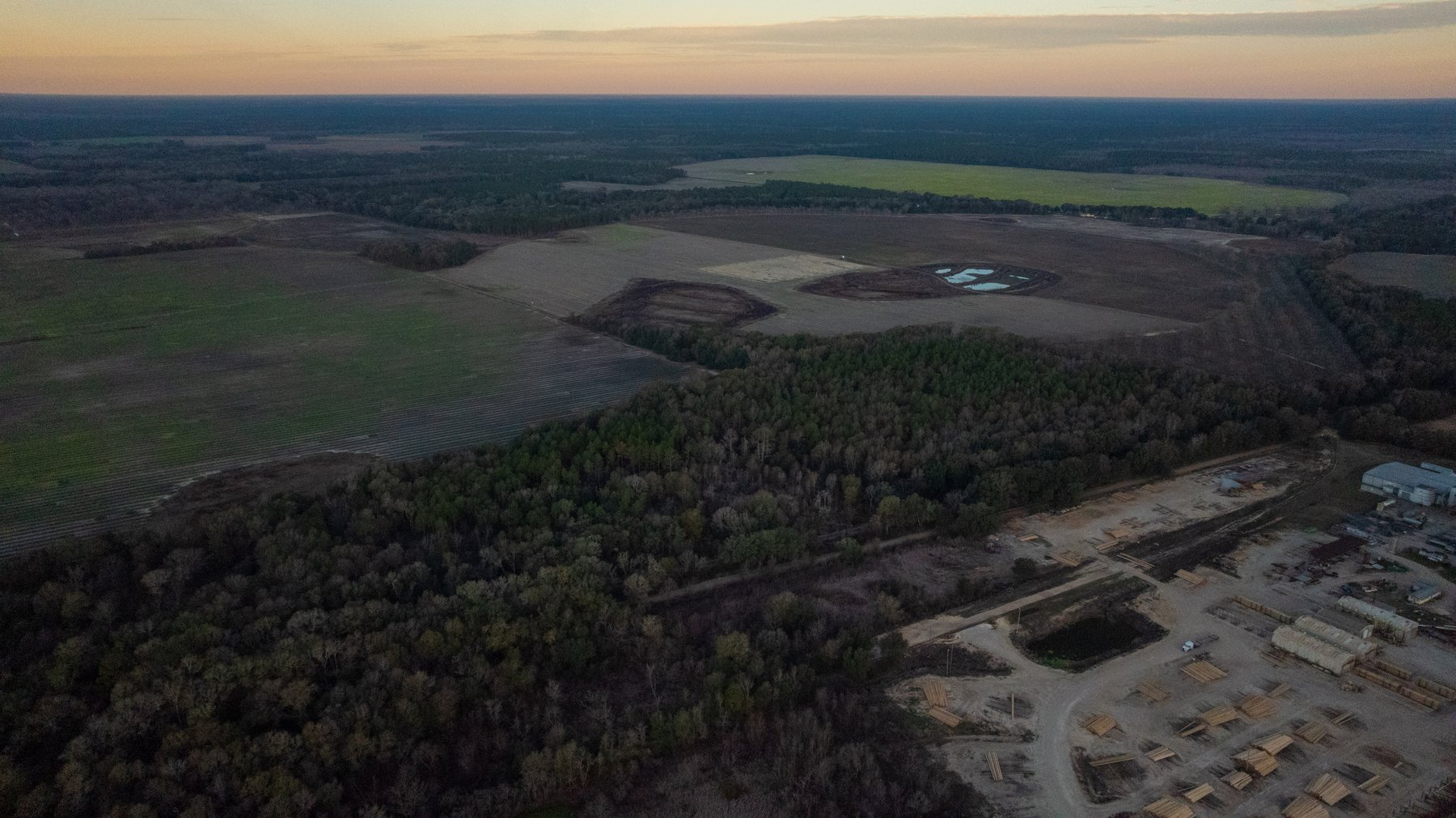 Image for The Cochran Farm - 328+/- Total Acres - Irrigated Row Crop Farm - Beautiful Pine & Hardwoods
