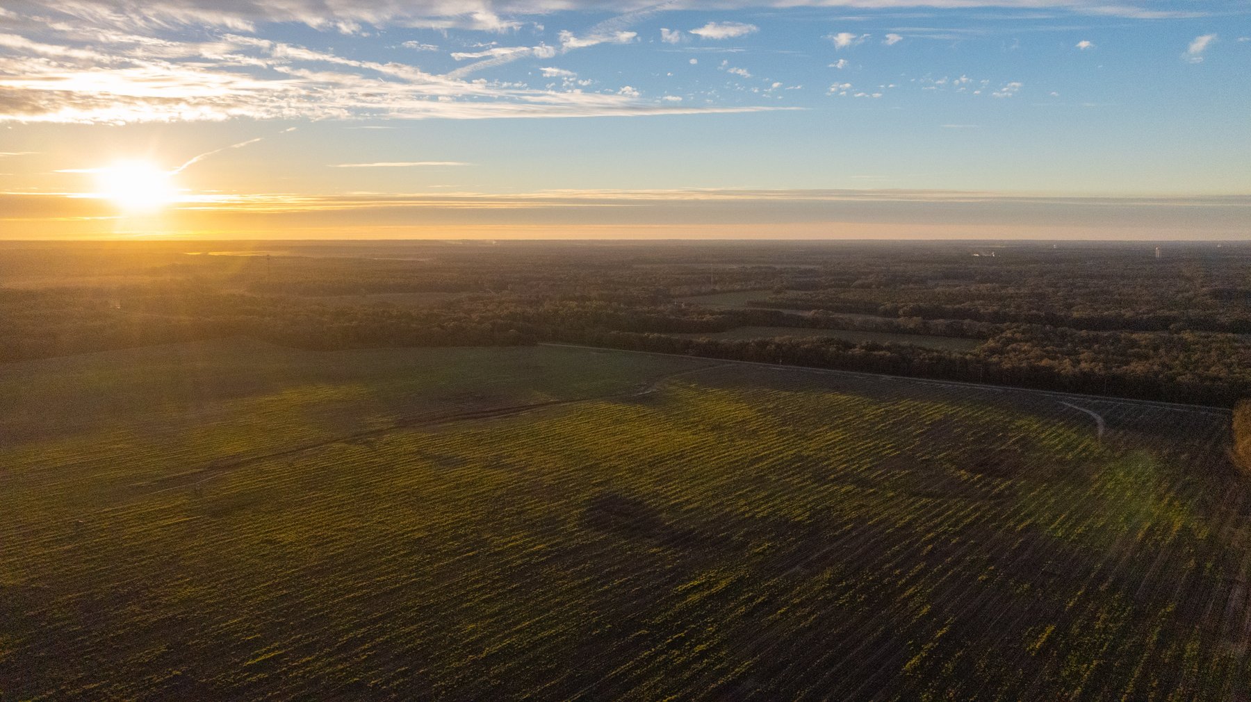 Image for The Cochran Farm - 328+/- Total Acres - Irrigated Row Crop Farm - Beautiful Pine & Hardwoods