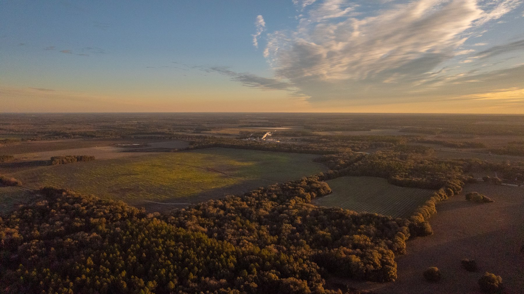 Image for The Cochran Farm - 328+/- Total Acres - Irrigated Row Crop Farm - Beautiful Pine & Hardwoods