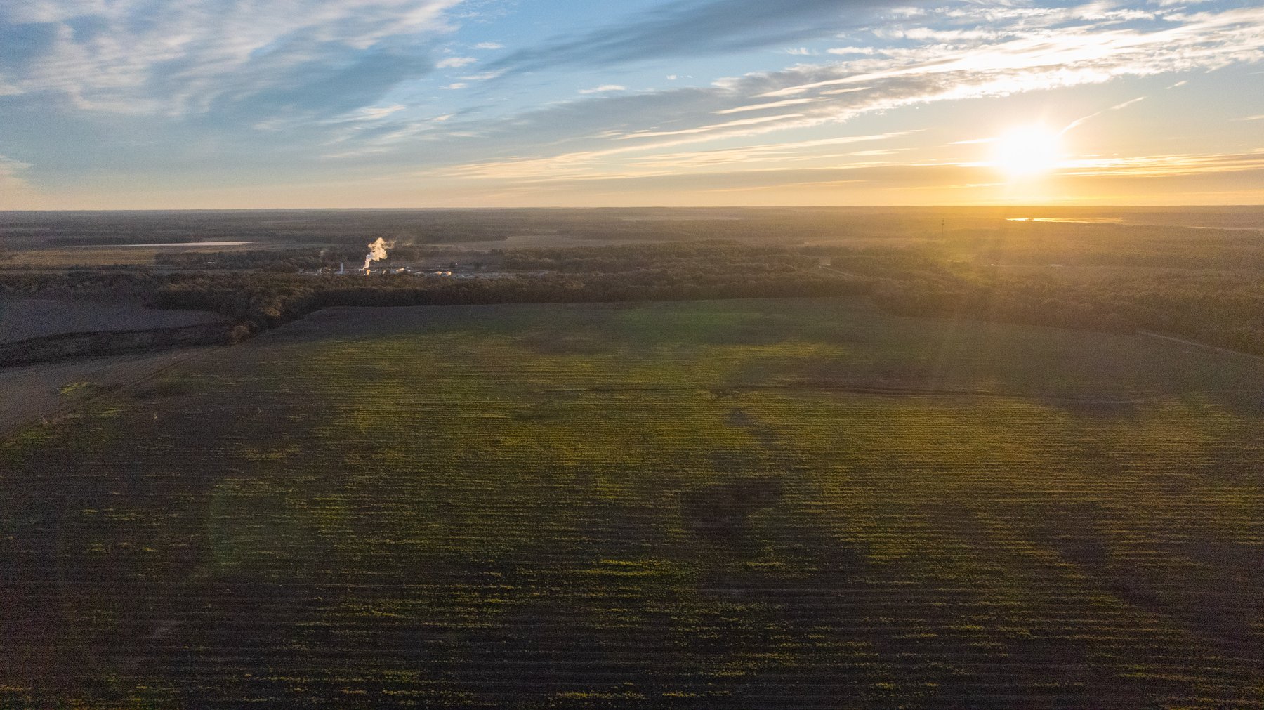 Image for The Cochran Farm - 328+/- Total Acres - Irrigated Row Crop Farm - Beautiful Pine & Hardwoods