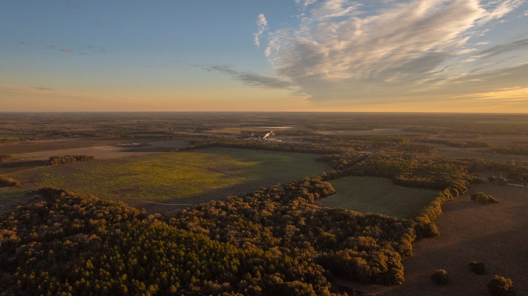 Image for The Cochran Farm - 328+/- Total Acres - Irrigated Row Crop Farm - Beautiful Pine & Hardwoods