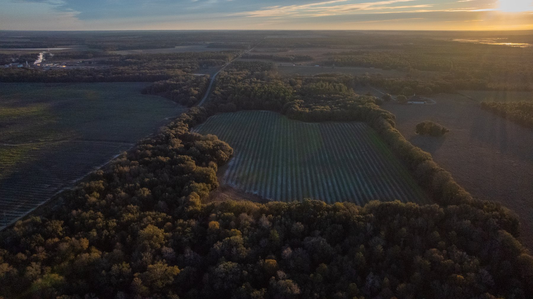 Image for The Cochran Farm - 328+/- Total Acres - Irrigated Row Crop Farm - Beautiful Pine & Hardwoods