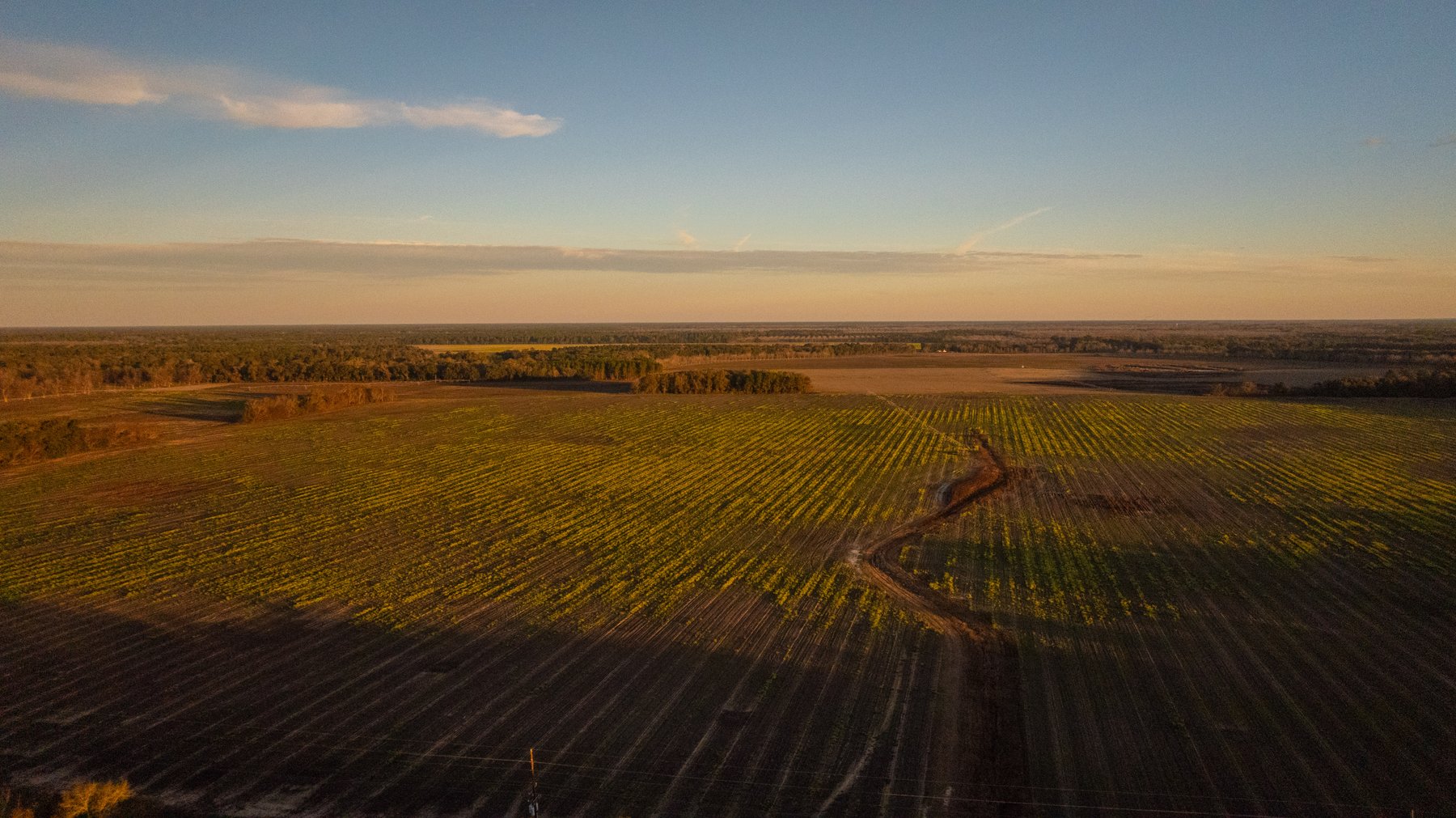 Image for The Cochran Farm - 328+/- Total Acres - Irrigated Row Crop Farm - Beautiful Pine & Hardwoods