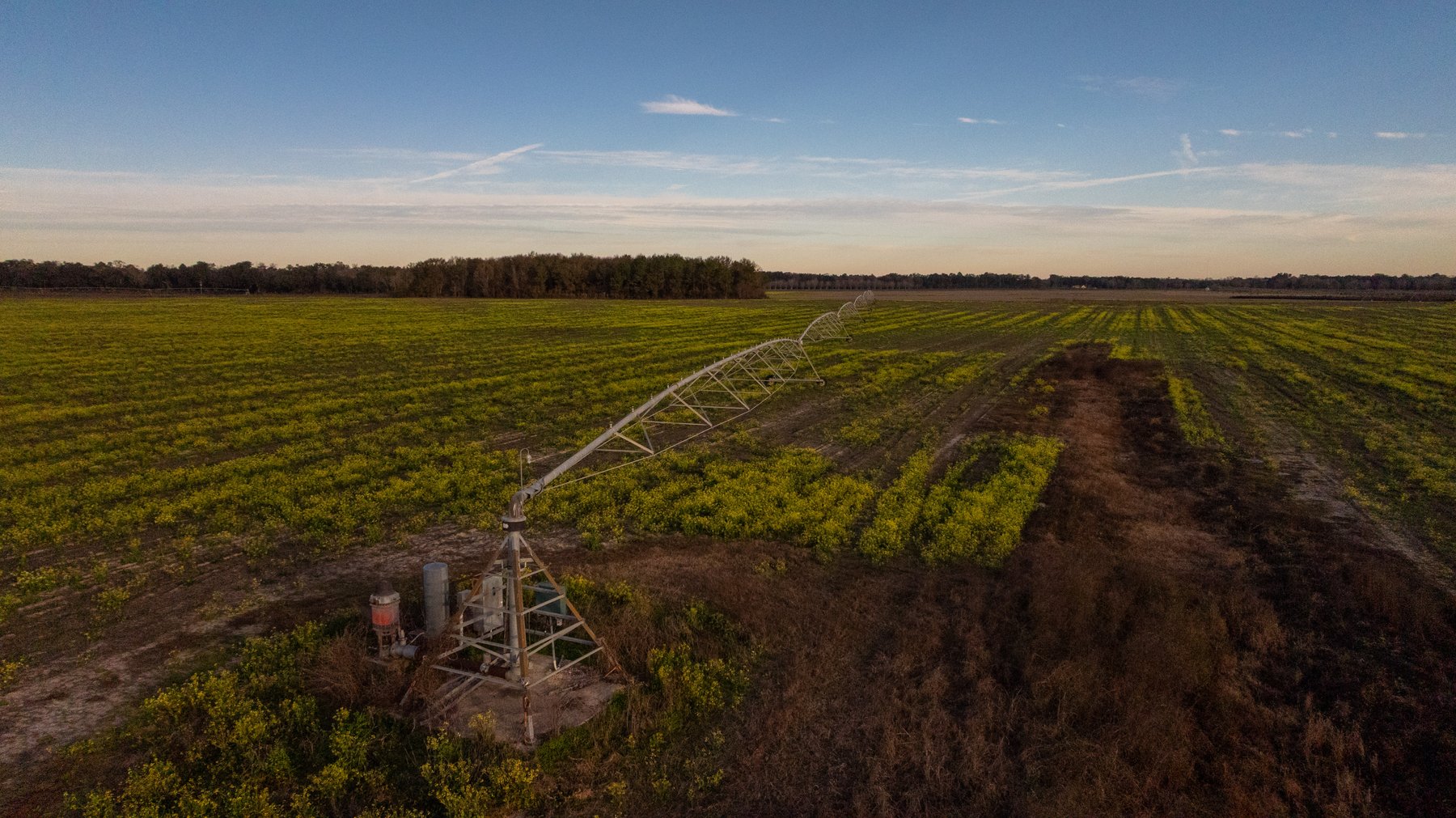 Image for The Cochran Farm - 328+/- Total Acres - Irrigated Row Crop Farm - Beautiful Pine & Hardwoods