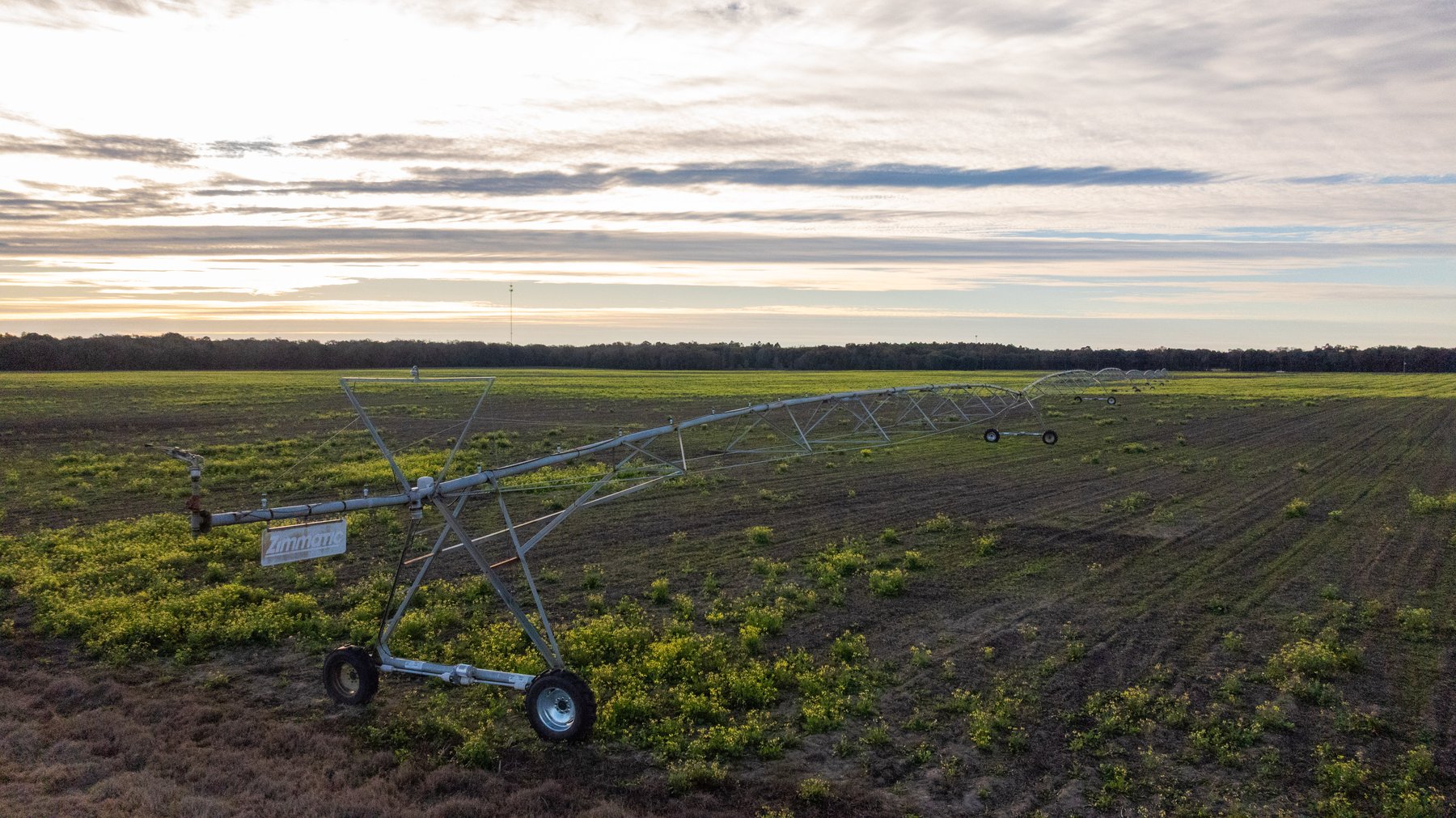 Image for The Cochran Farm - 328+/- Total Acres - Irrigated Row Crop Farm - Beautiful Pine & Hardwoods