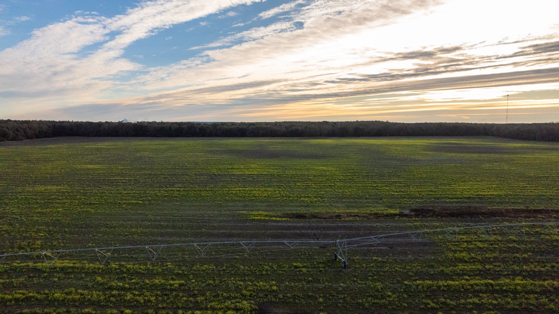 Image for The Cochran Farm - 328+/- Total Acres - Irrigated Row Crop Farm - Beautiful Pine & Hardwoods