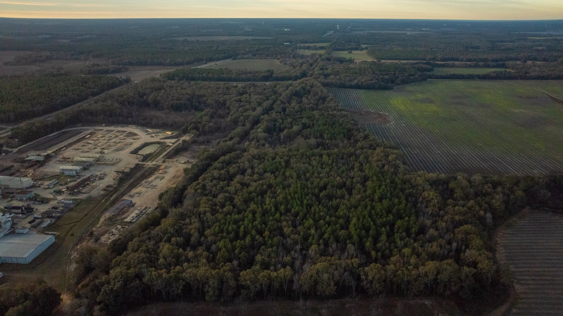Image for The Cochran Farm - 328+/- Total Acres - Irrigated Row Crop Farm - Beautiful Pine & Hardwoods