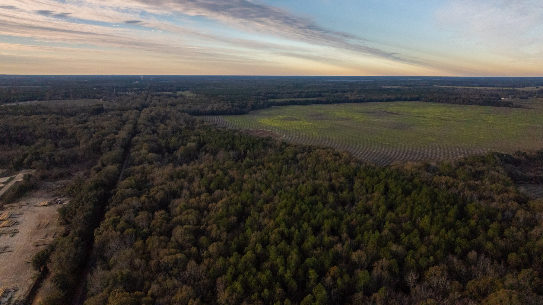 Image for The Cochran Farm - 328+/- Total Acres - Irrigated Row Crop Farm - Beautiful Pine & Hardwoods