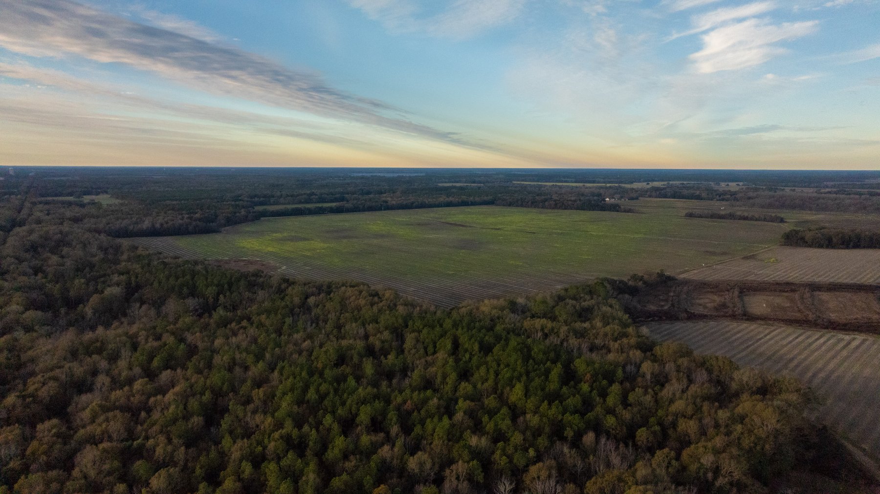 Image for The Cochran Farm - 328+/- Total Acres - Irrigated Row Crop Farm - Beautiful Pine & Hardwoods