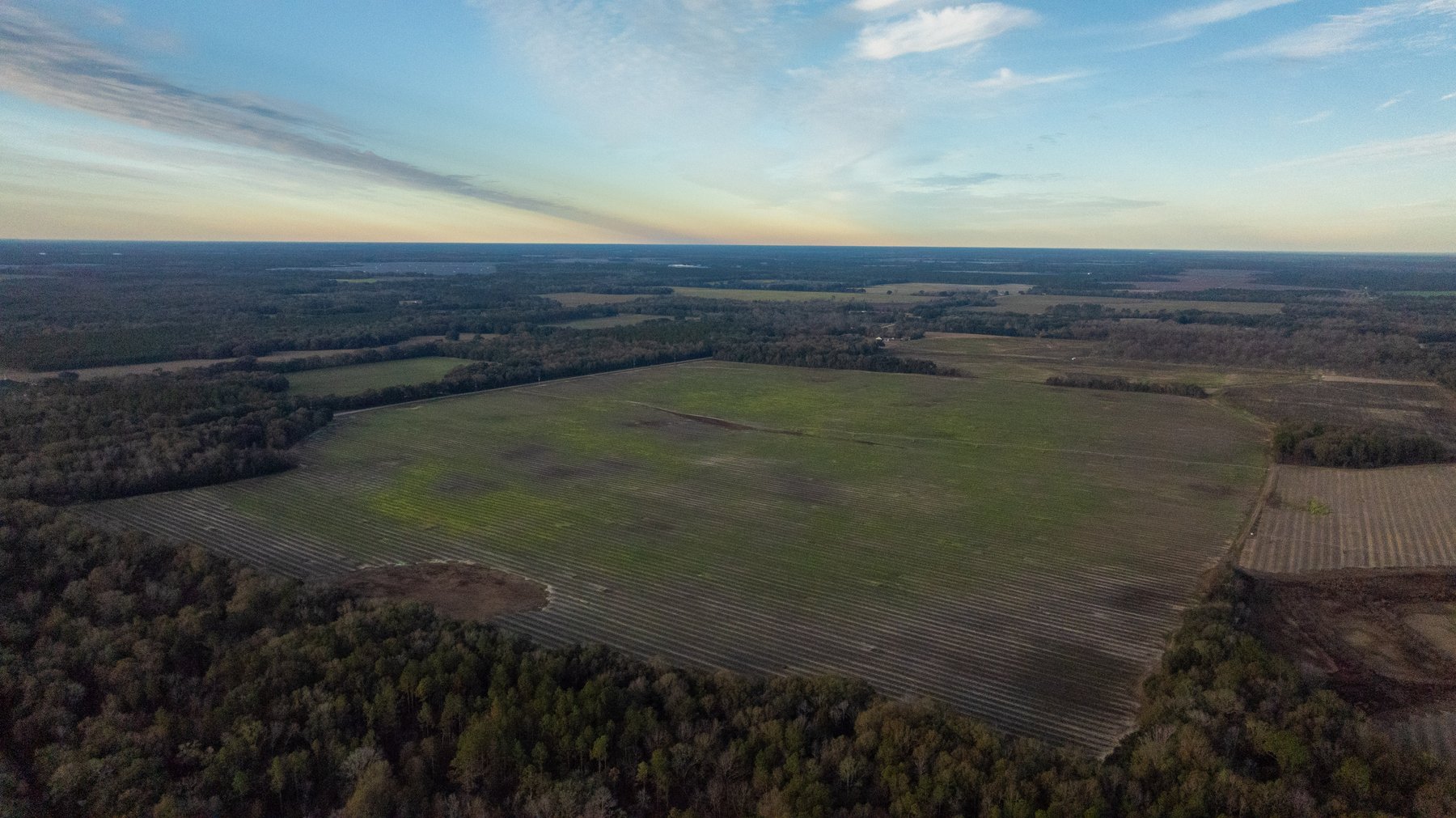 Image for The Cochran Farm - 328+/- Total Acres - Irrigated Row Crop Farm - Beautiful Pine & Hardwoods