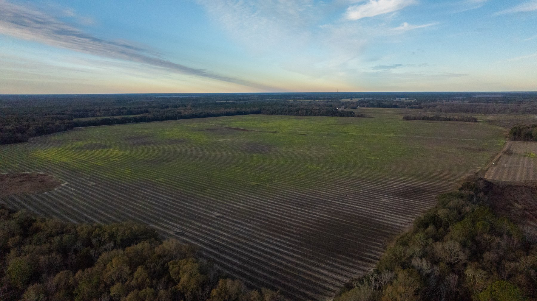 Image for The Cochran Farm - 328+/- Total Acres - Irrigated Row Crop Farm - Beautiful Pine & Hardwoods