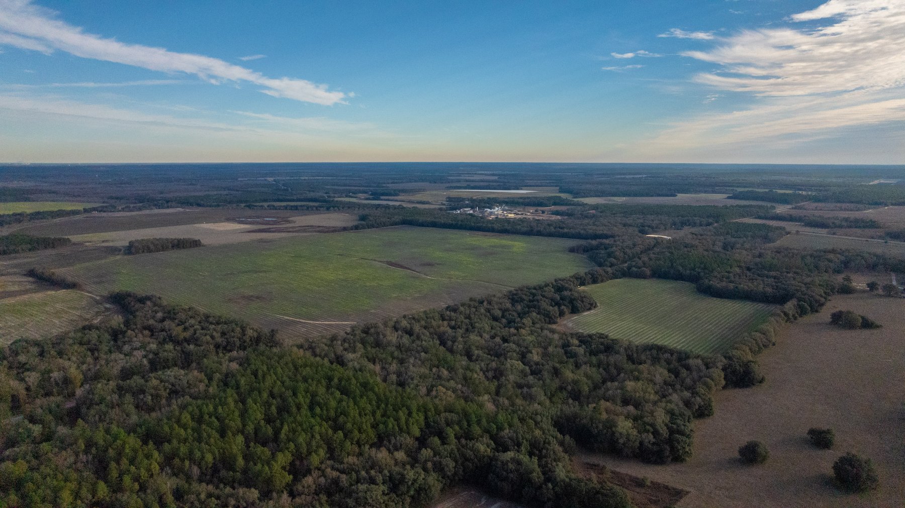 Image for The Cochran Farm - 328+/- Total Acres - Irrigated Row Crop Farm - Beautiful Pine & Hardwoods