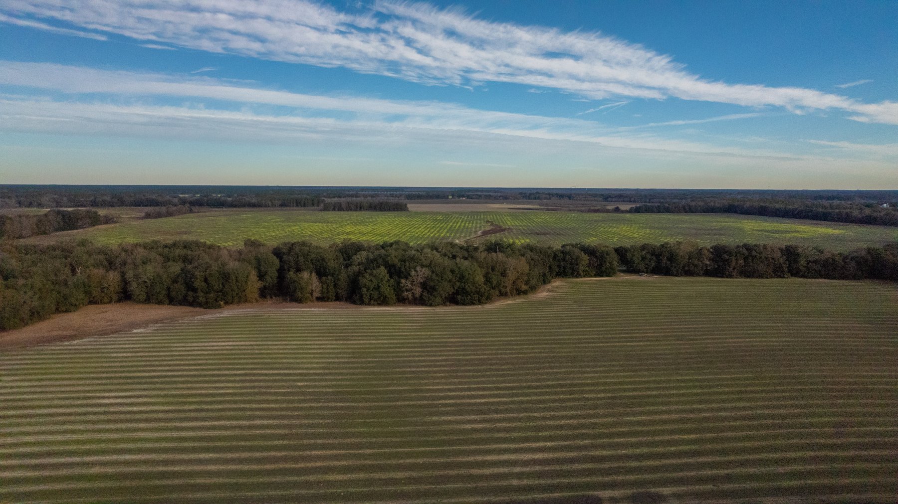 Image for The Cochran Farm - 328+/- Total Acres - Irrigated Row Crop Farm - Beautiful Pine & Hardwoods