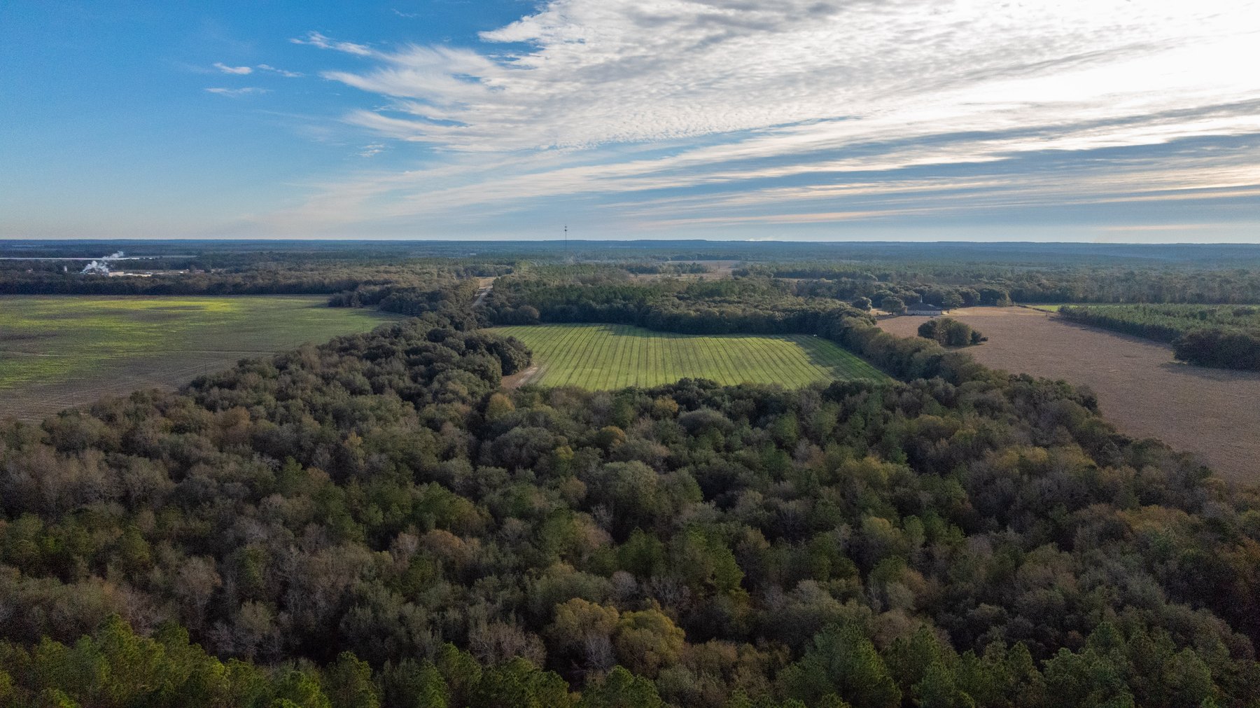 Image for The Cochran Farm - 328+/- Total Acres - Irrigated Row Crop Farm - Beautiful Pine & Hardwoods