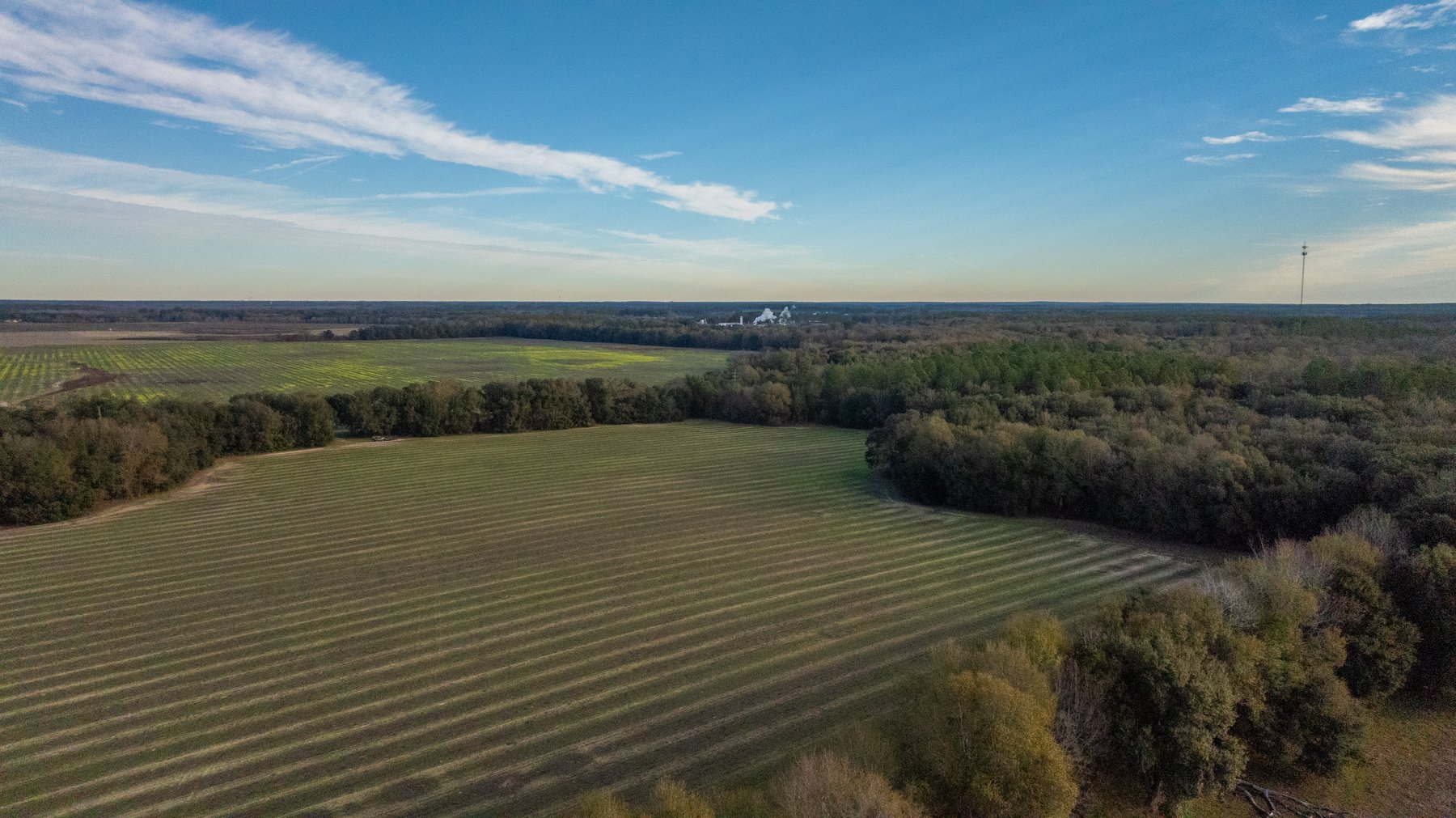 Image for The Cochran Farm - 328+/- Total Acres - Irrigated Row Crop Farm - Beautiful Pine & Hardwoods