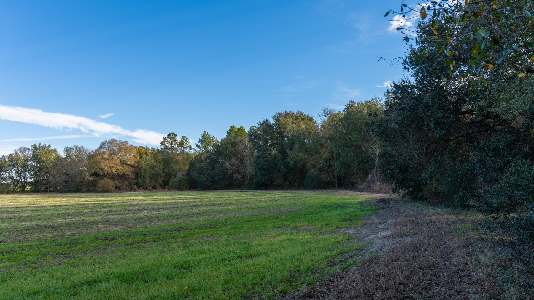 Image for The Cochran Farm - 328+/- Total Acres - Irrigated Row Crop Farm - Beautiful Pine & Hardwoods