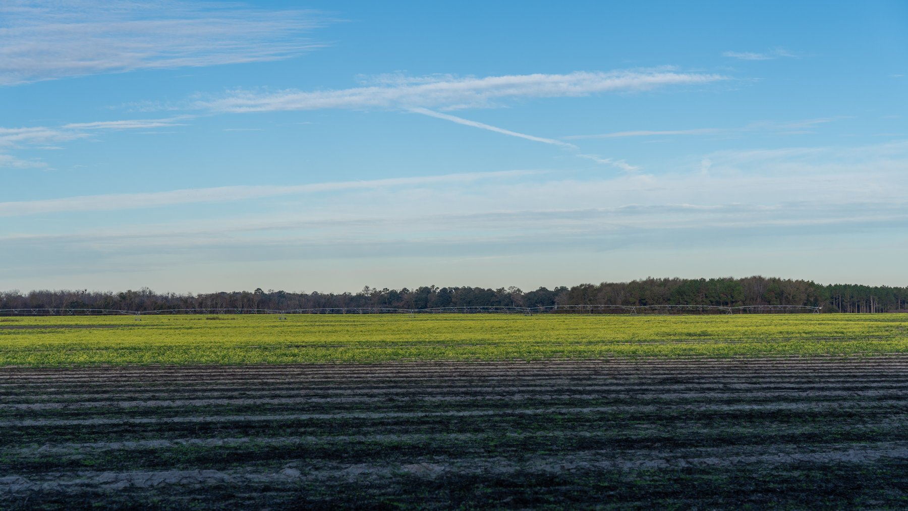 Image for The Cochran Farm - 328+/- Total Acres - Irrigated Row Crop Farm - Beautiful Pine & Hardwoods