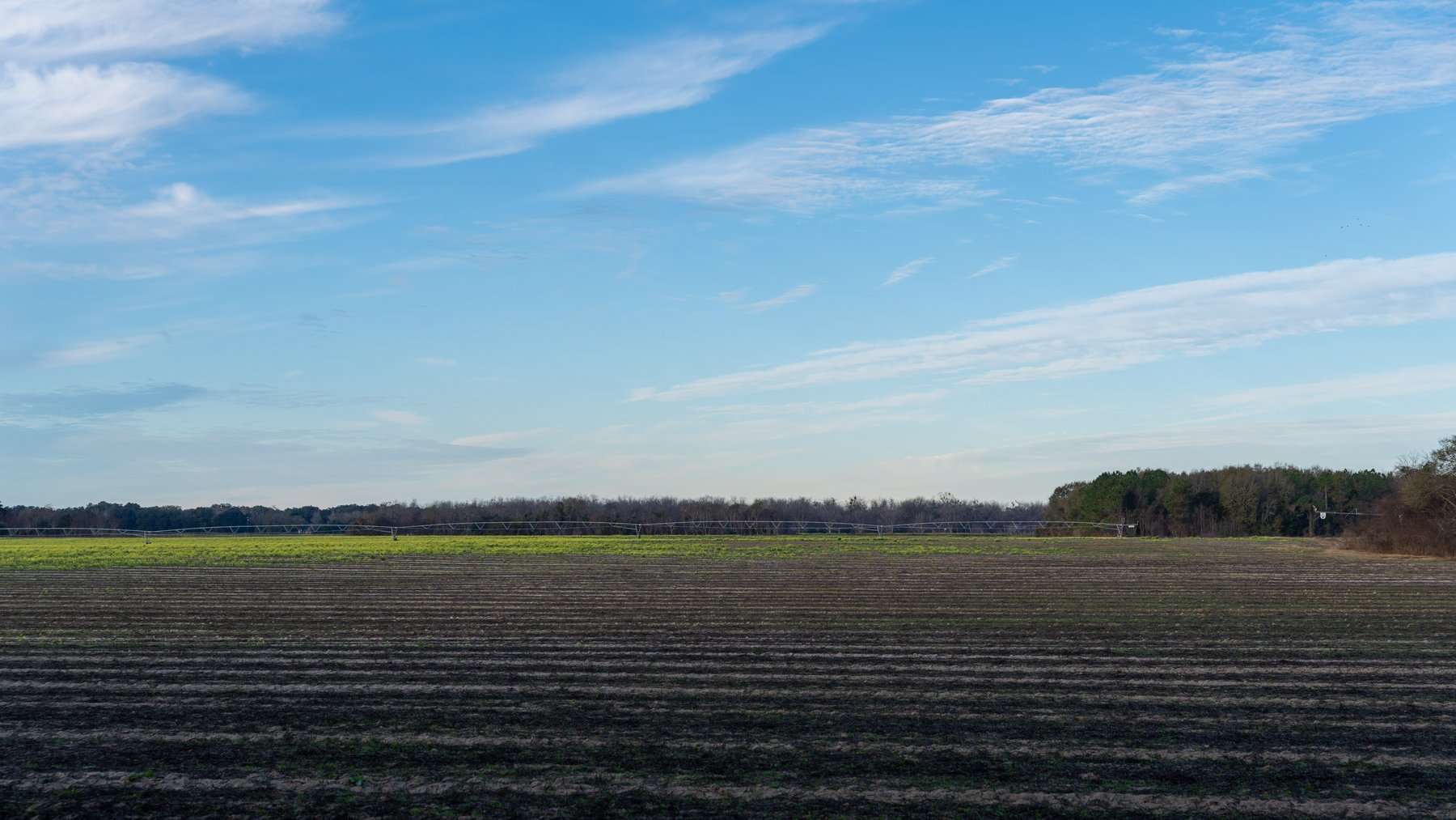 Image for The Cochran Farm - 328+/- Total Acres - Irrigated Row Crop Farm - Beautiful Pine & Hardwoods