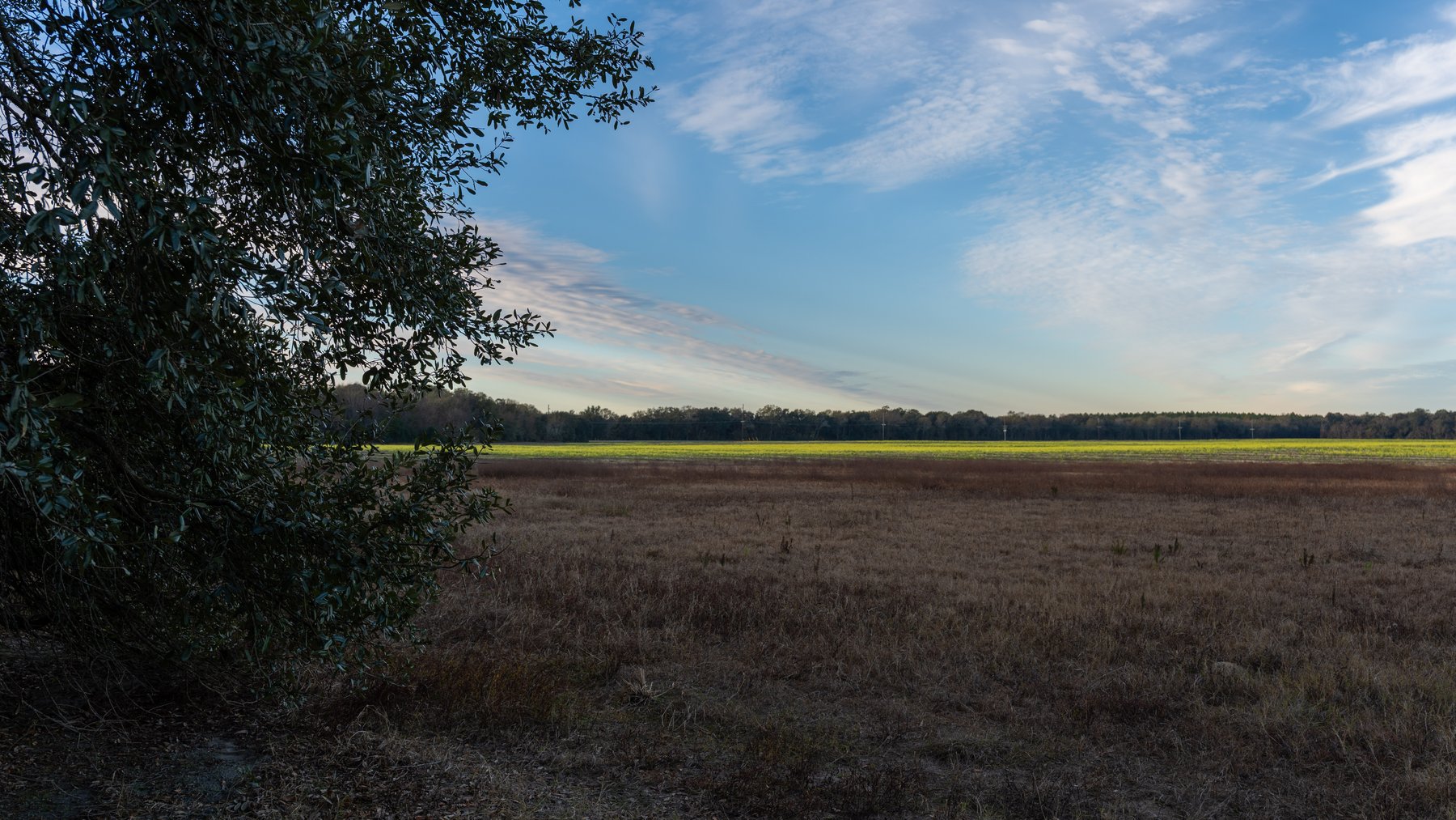 Image for The Cochran Farm - 328+/- Total Acres - Irrigated Row Crop Farm - Beautiful Pine & Hardwoods