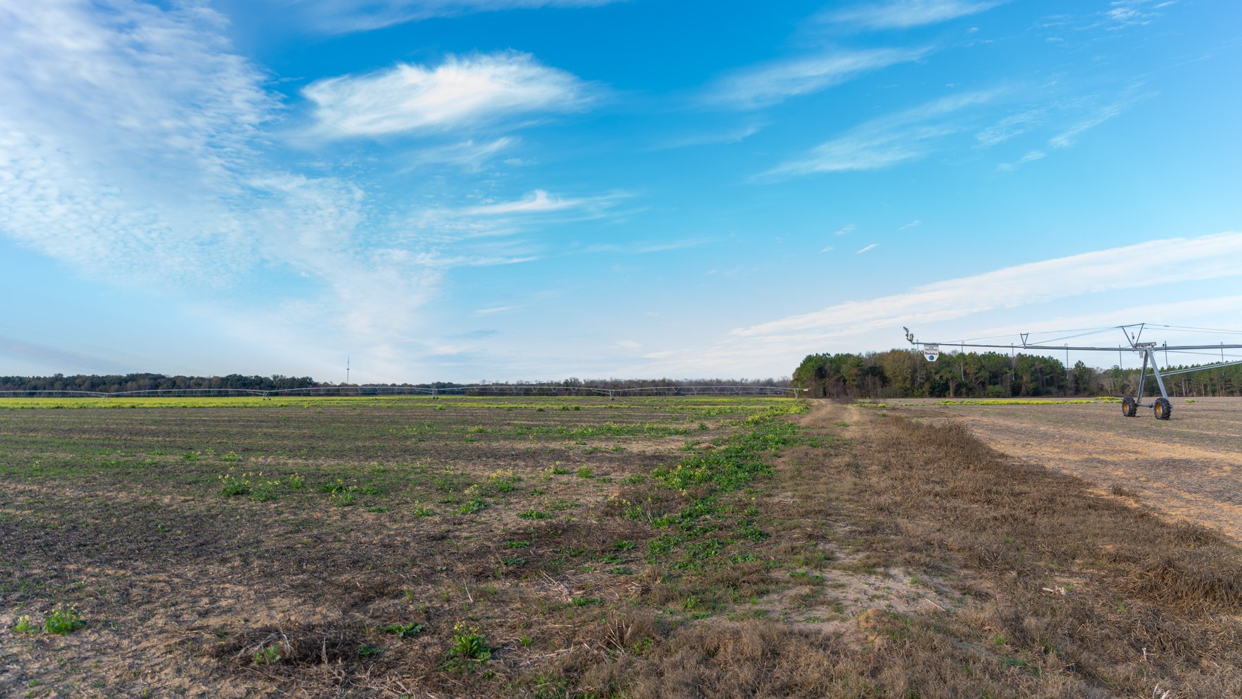 Image for The Cochran Farm - 328+/- Total Acres - Irrigated Row Crop Farm - Beautiful Pine & Hardwoods