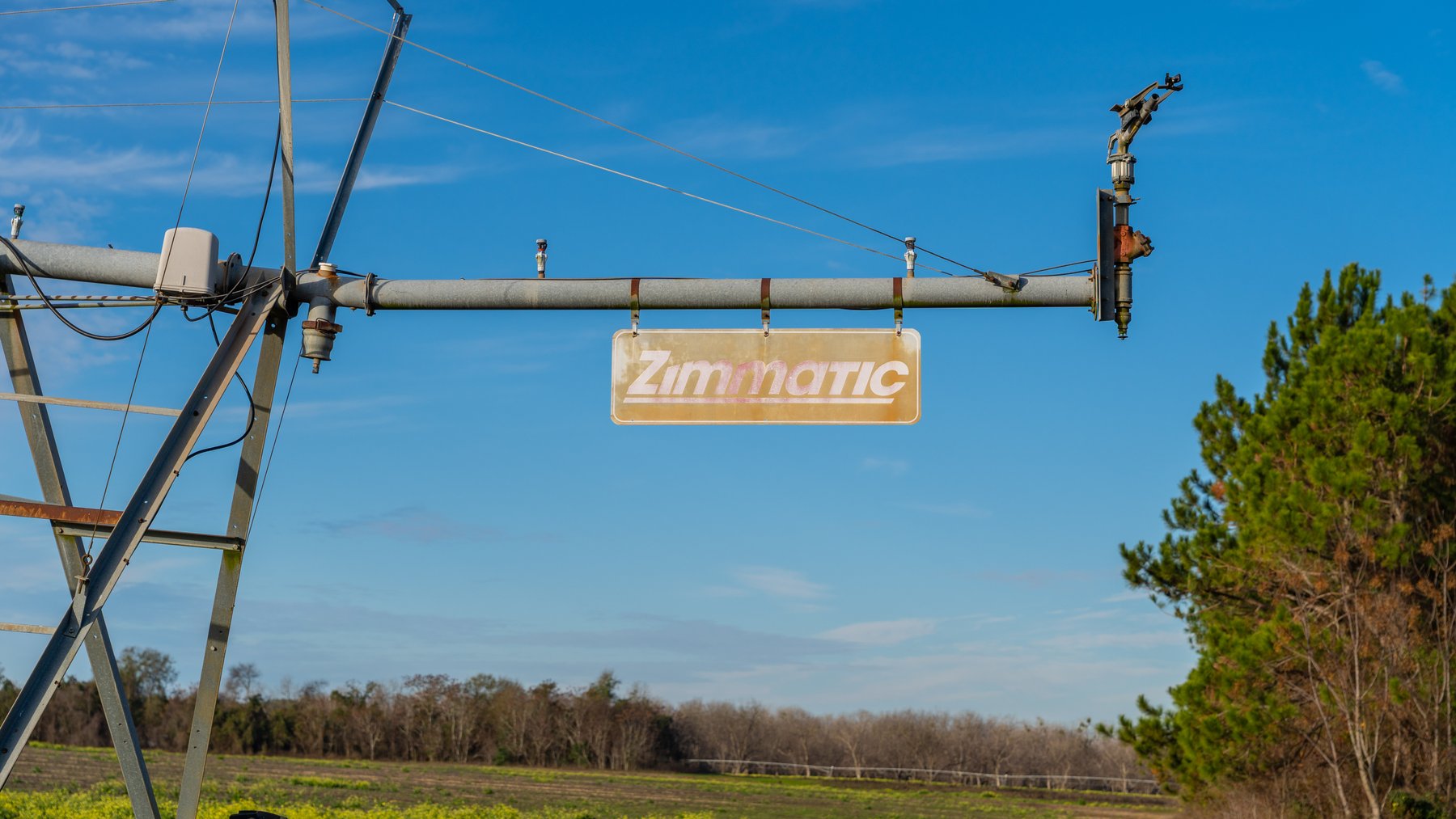 Image for The Cochran Farm - 328+/- Total Acres - Irrigated Row Crop Farm - Beautiful Pine & Hardwoods