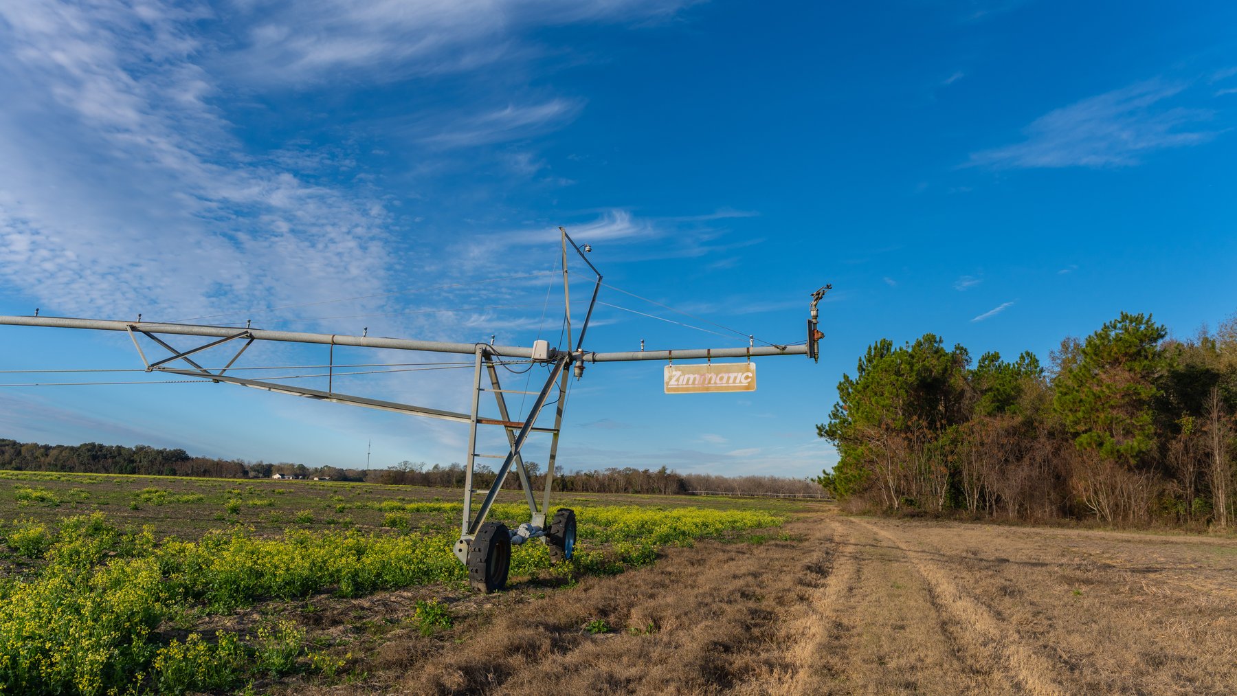 Image for The Cochran Farm - 328+/- Total Acres - Irrigated Row Crop Farm - Beautiful Pine & Hardwoods