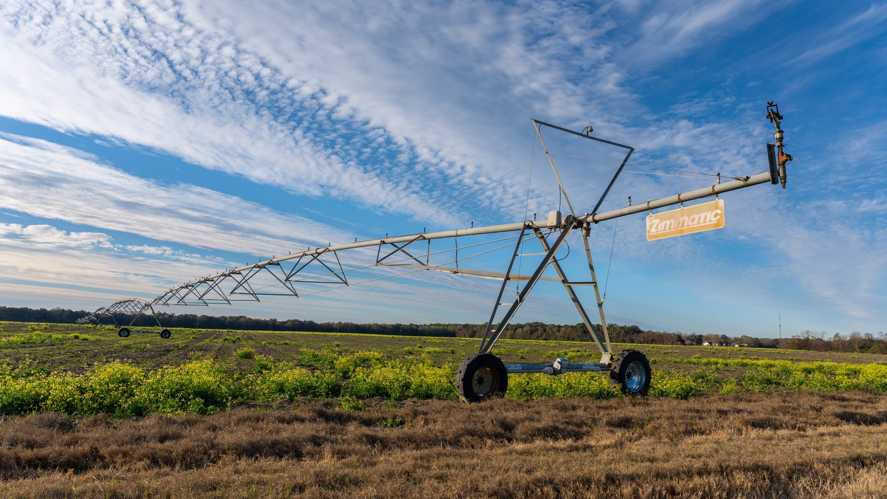 Image for The Cochran Farm - 328+/- Total Acres - Irrigated Row Crop Farm - Beautiful Pine & Hardwoods
