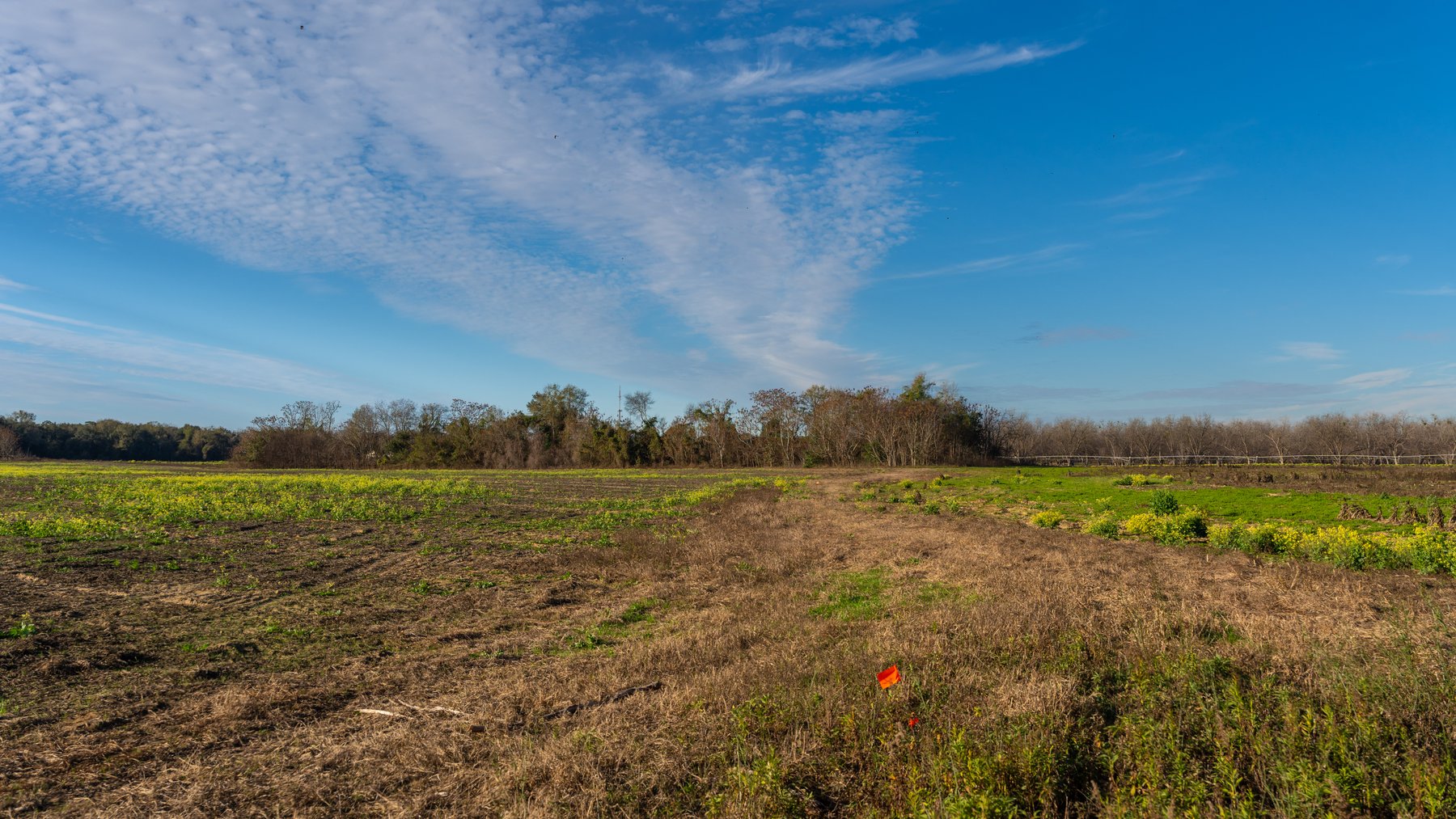 Image for The Cochran Farm - 328+/- Total Acres - Irrigated Row Crop Farm - Beautiful Pine & Hardwoods