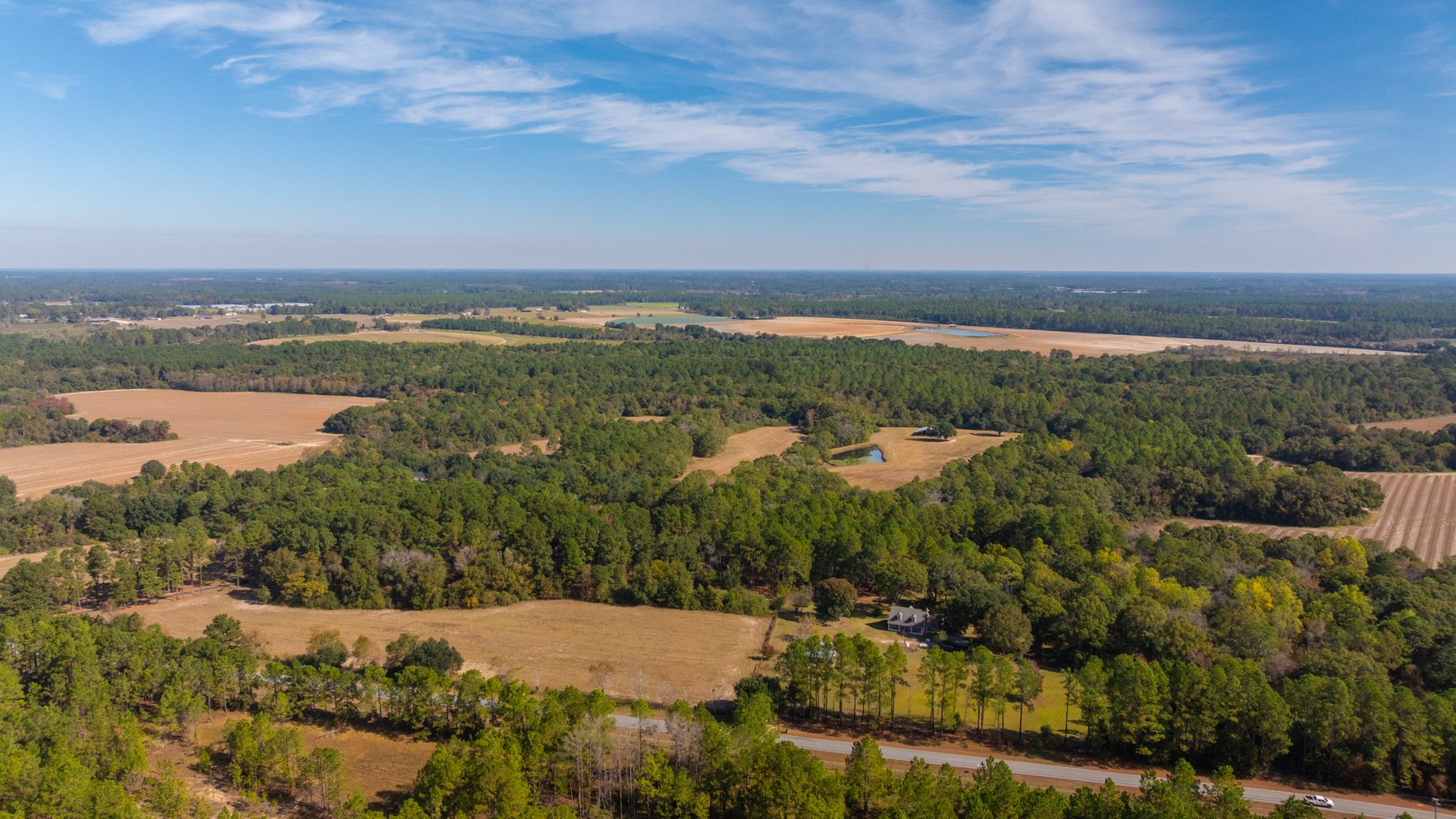 Image for 53± Acres - Land Auction - Beautiful Farmland, Timber & Ponds - Outdoor Paradise in Colquitt County, GA