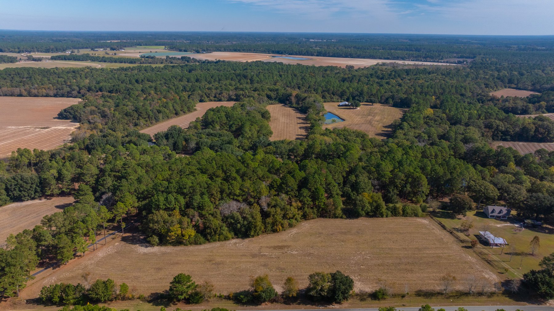 Image for 53± Acres - Land Auction - Beautiful Farmland, Timber & Ponds - Outdoor Paradise in Colquitt County, GA