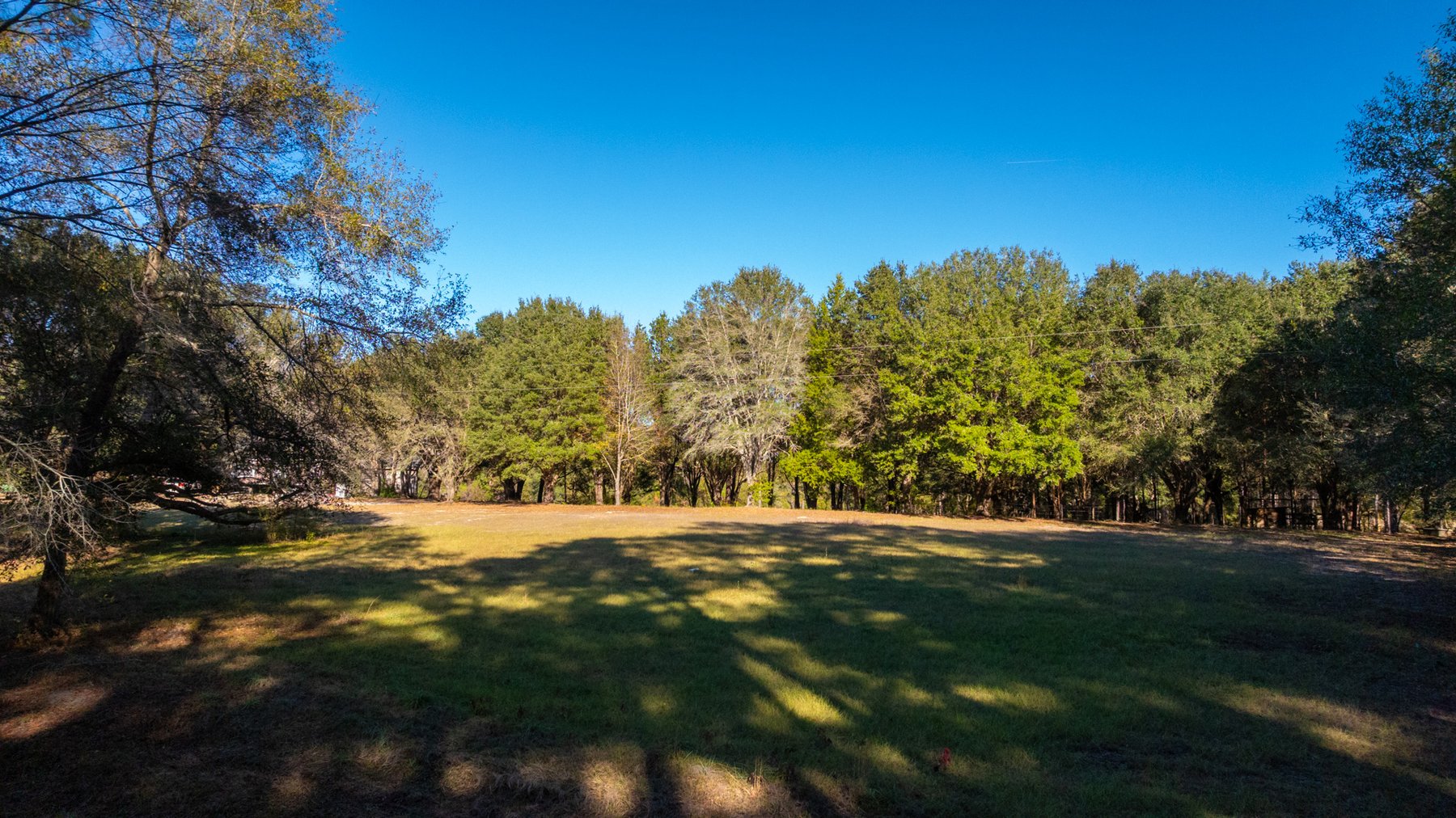 Image for 53± Acres - Land Auction - Beautiful Farmland, Timber & Ponds - Outdoor Paradise in Colquitt County, GA