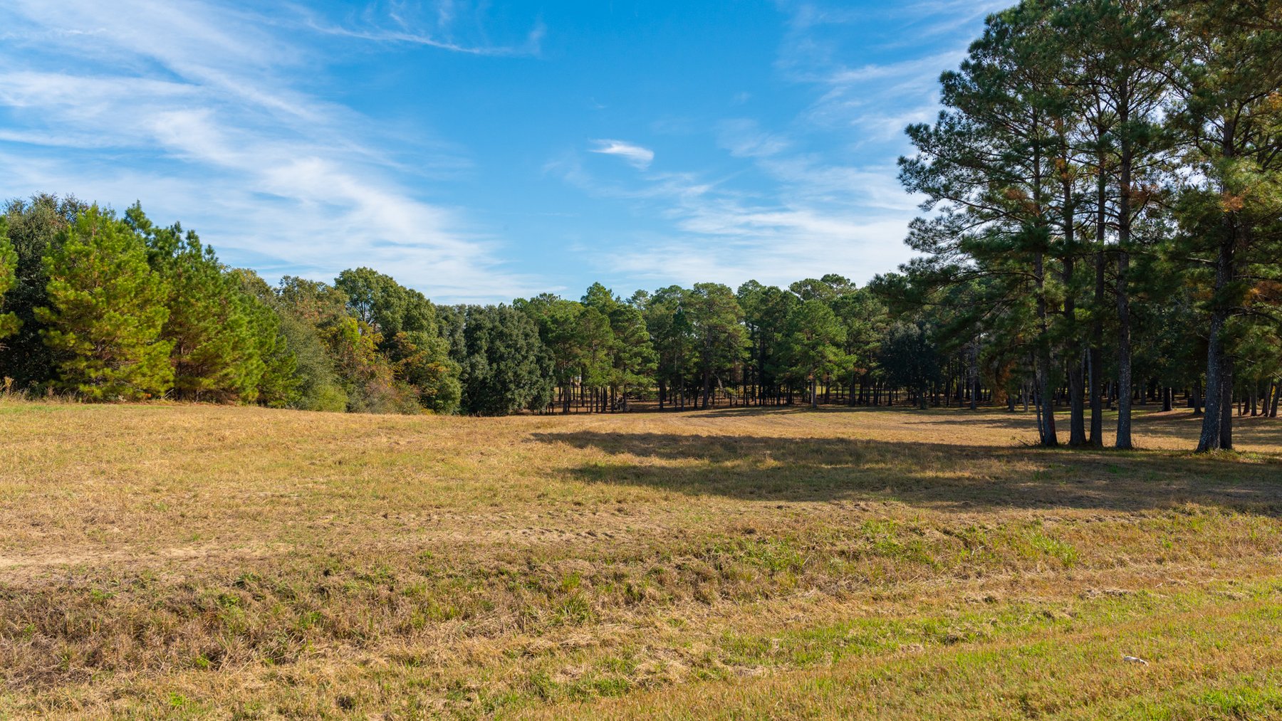 Image for 53± Acres - Land Auction - Beautiful Farmland, Timber & Ponds - Outdoor Paradise in Colquitt County, GA