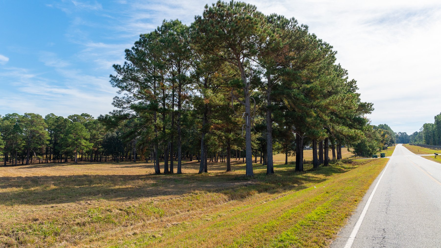 Image for 53± Acres - Land Auction - Beautiful Farmland, Timber & Ponds - Outdoor Paradise in Colquitt County, GA