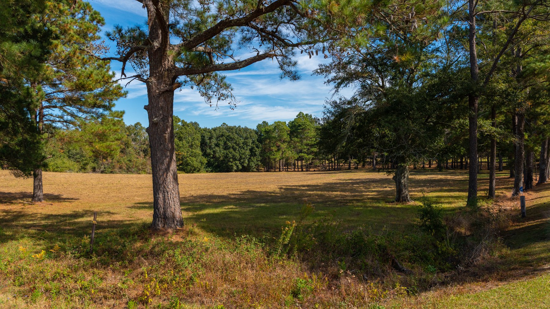 Image for 53± Acres - Land Auction - Beautiful Farmland, Timber & Ponds - Outdoor Paradise in Colquitt County, GA