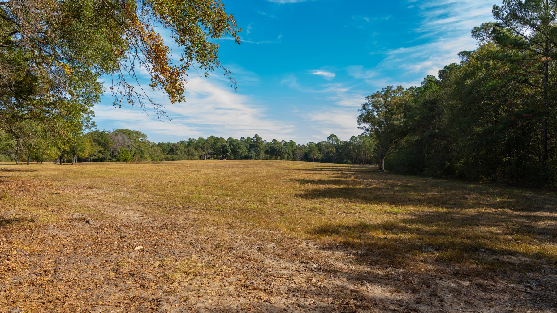 Image for 53± Acres - Land Auction - Beautiful Farmland, Timber & Ponds - Outdoor Paradise in Colquitt County, GA