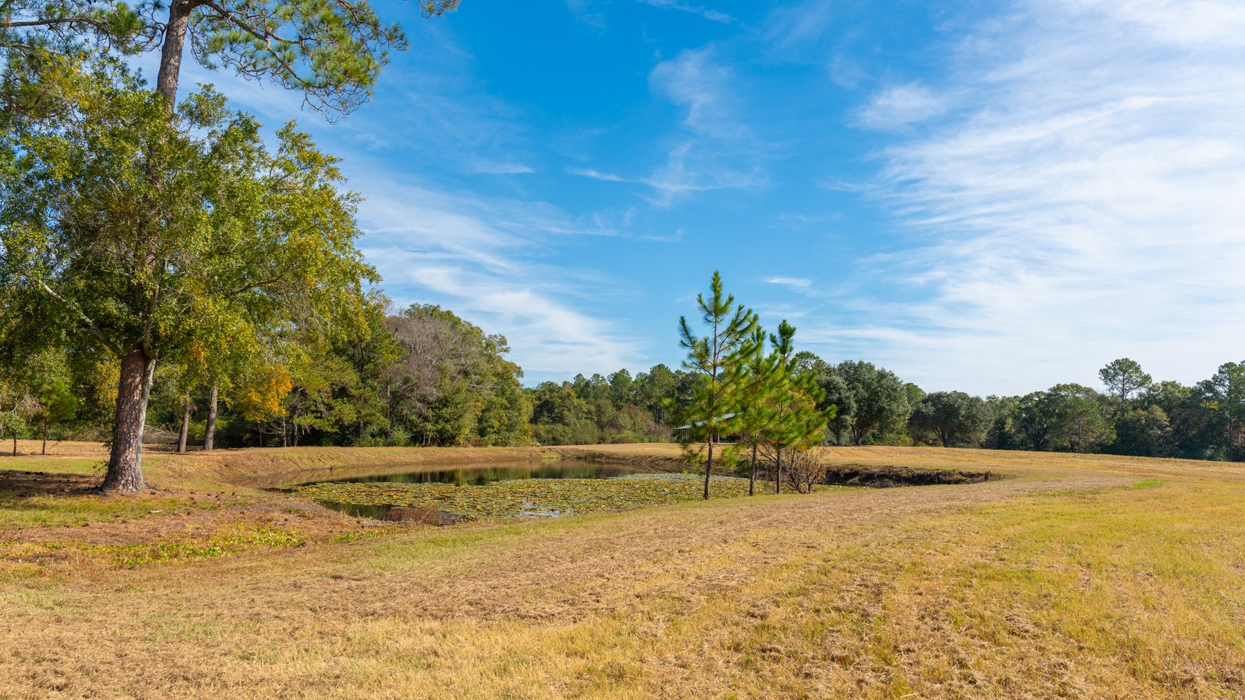 Image for 53± Acres - Land Auction - Beautiful Farmland, Timber & Ponds - Outdoor Paradise in Colquitt County, GA