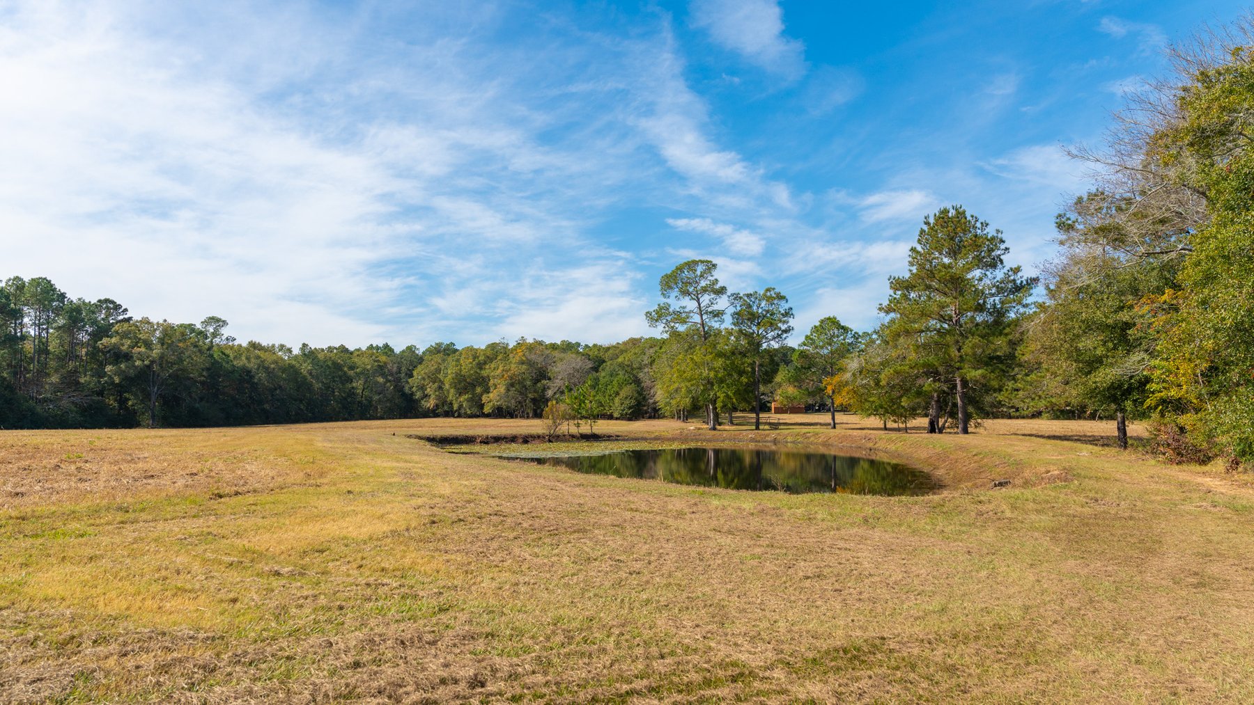 Image for 53± Acres - Land Auction - Beautiful Farmland, Timber & Ponds - Outdoor Paradise in Colquitt County, GA