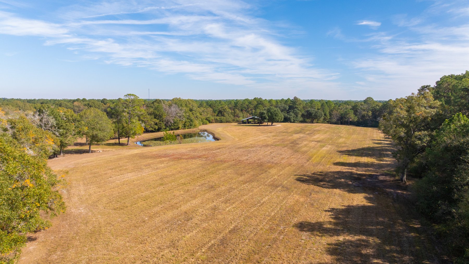 Image for 53± Acres - Land Auction - Beautiful Farmland, Timber & Ponds - Outdoor Paradise in Colquitt County, GA