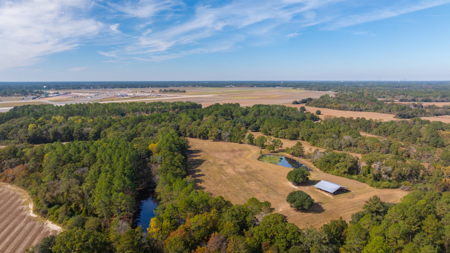 Image for 53± Acres - Land Auction - Beautiful Farmland, Timber & Ponds - Outdoor Paradise in Colquitt County, GA