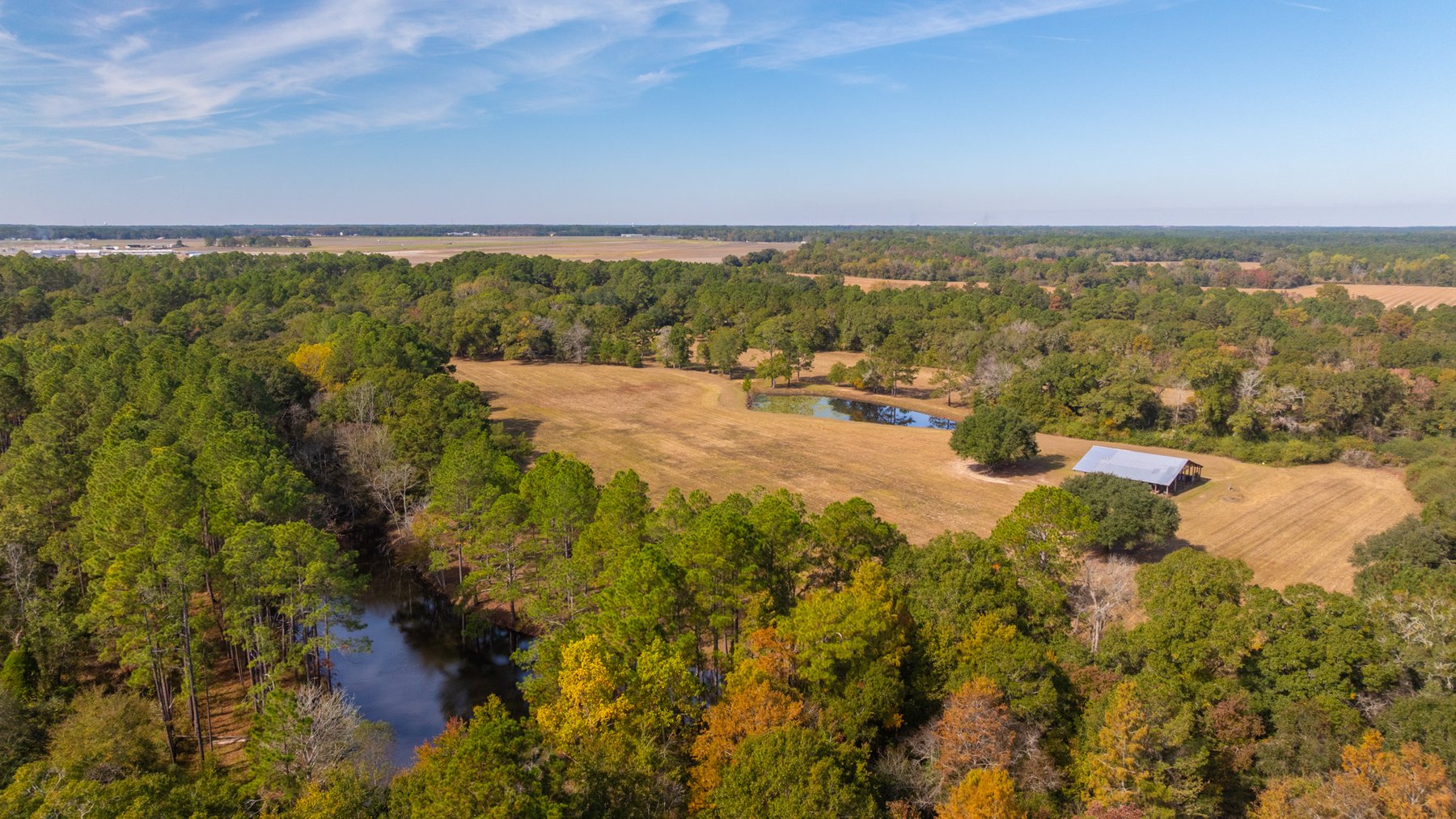 Image for 53± Acres - Land Auction - Beautiful Farmland, Timber & Ponds - Outdoor Paradise in Colquitt County, GA