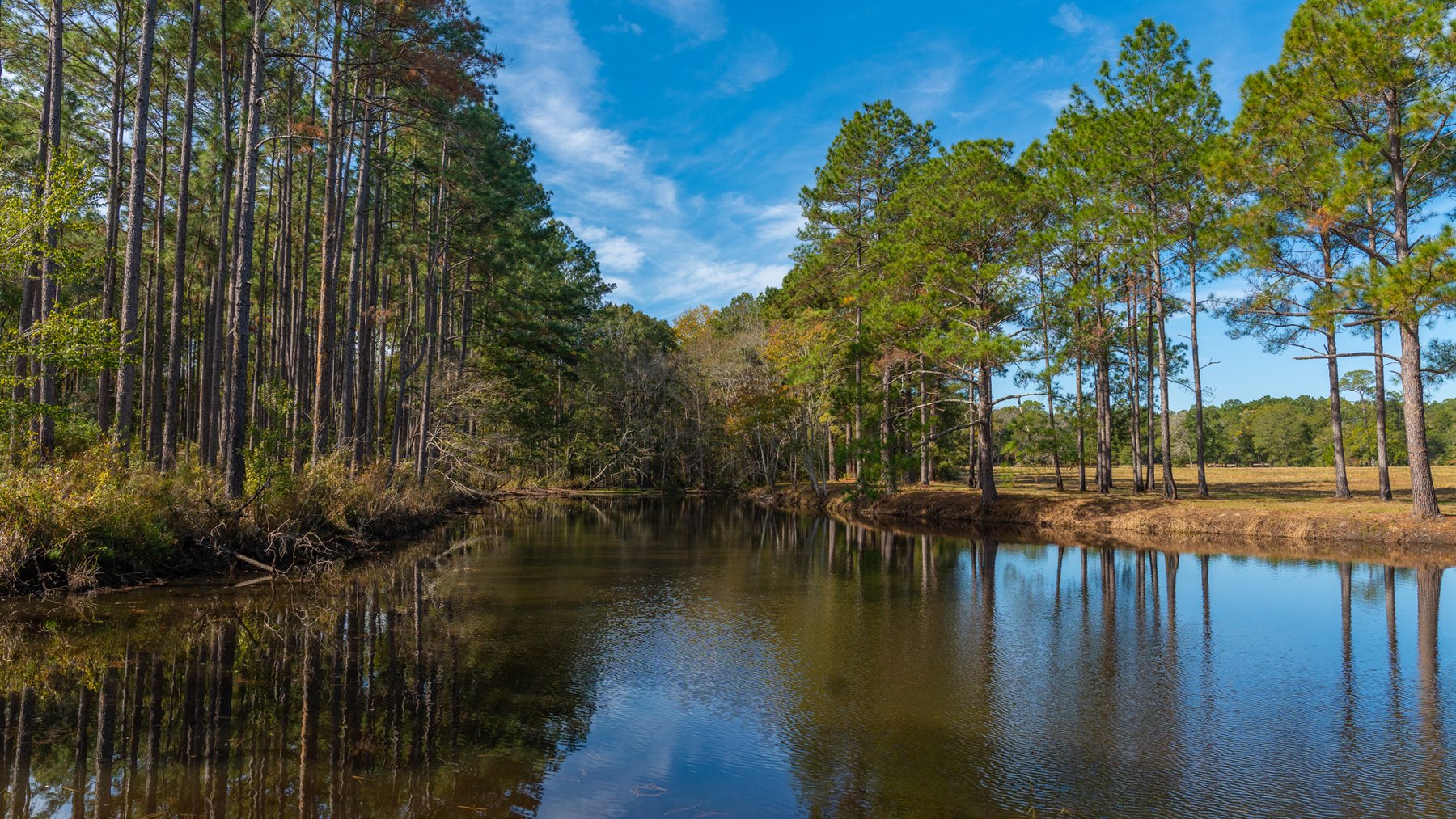 Image for 53± Acres - Land Auction - Beautiful Farmland, Timber & Ponds - Outdoor Paradise in Colquitt County, GA