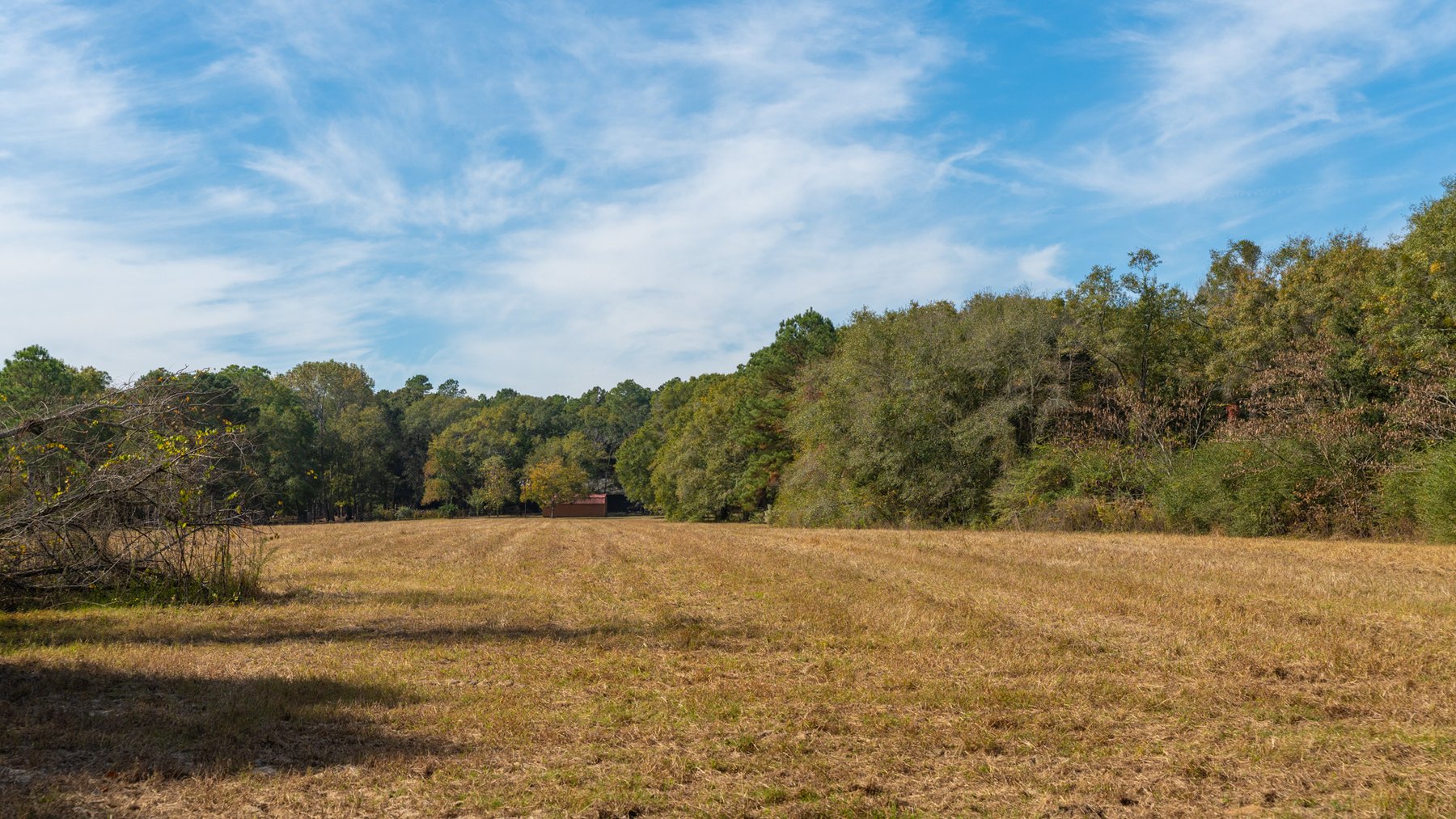 Image for 53± Acres - Land Auction - Beautiful Farmland, Timber & Ponds - Outdoor Paradise in Colquitt County, GA