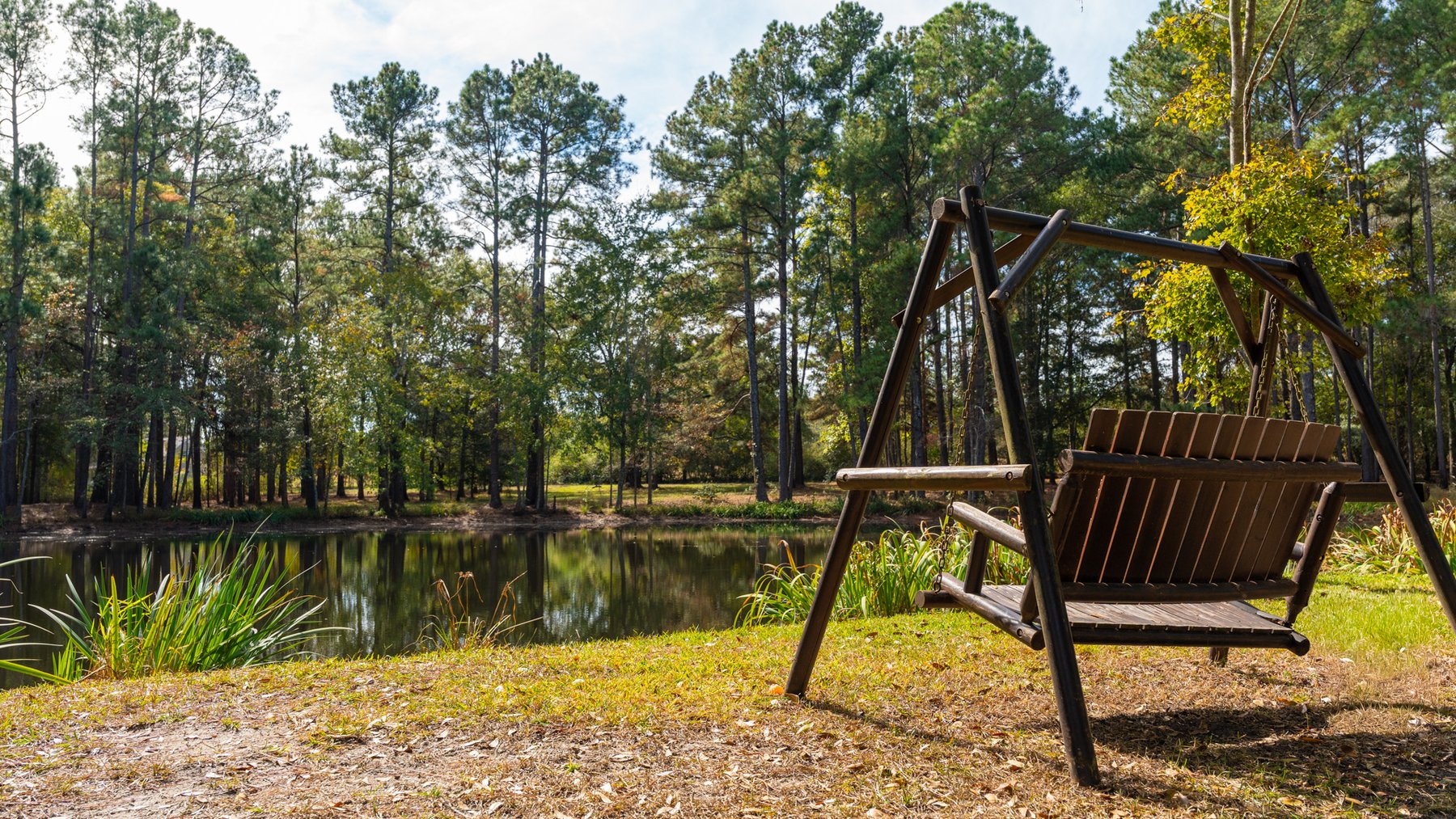 Image for 53± Acres - Land Auction - Beautiful Farmland, Timber & Ponds - Outdoor Paradise in Colquitt County, GA