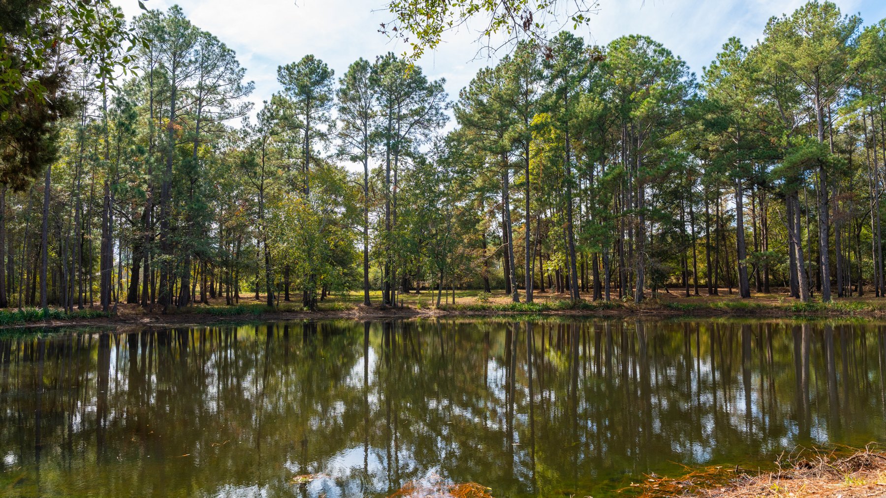 Image for 53± Acres - Land Auction - Beautiful Farmland, Timber & Ponds - Outdoor Paradise in Colquitt County, GA