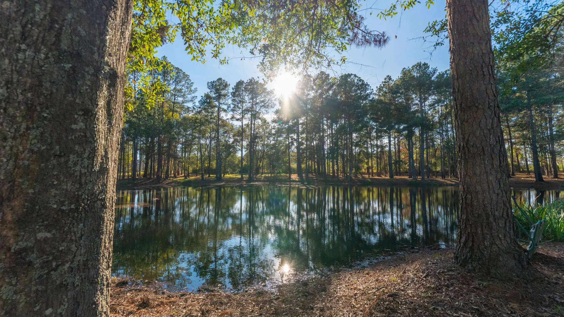Image for 53± Acres - Land Auction - Beautiful Farmland, Timber & Ponds - Outdoor Paradise in Colquitt County, GA