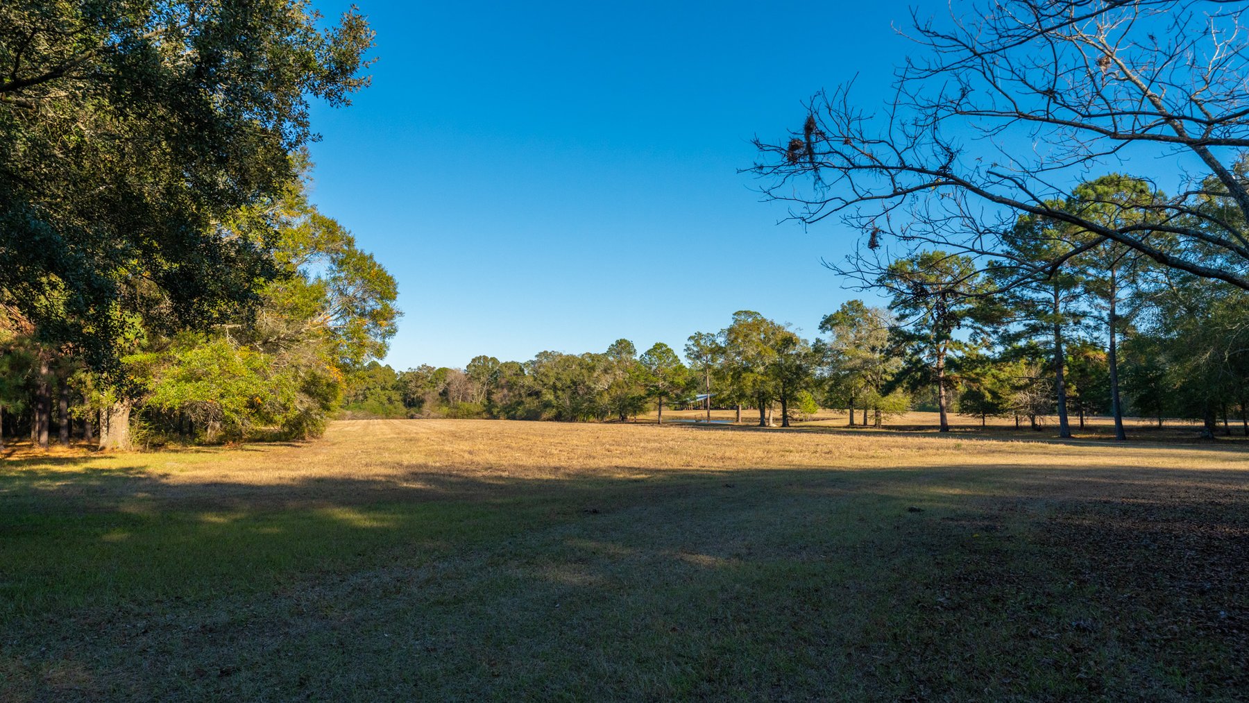 Image for 53± Acres - Land Auction - Beautiful Farmland, Timber & Ponds - Outdoor Paradise in Colquitt County, GA
