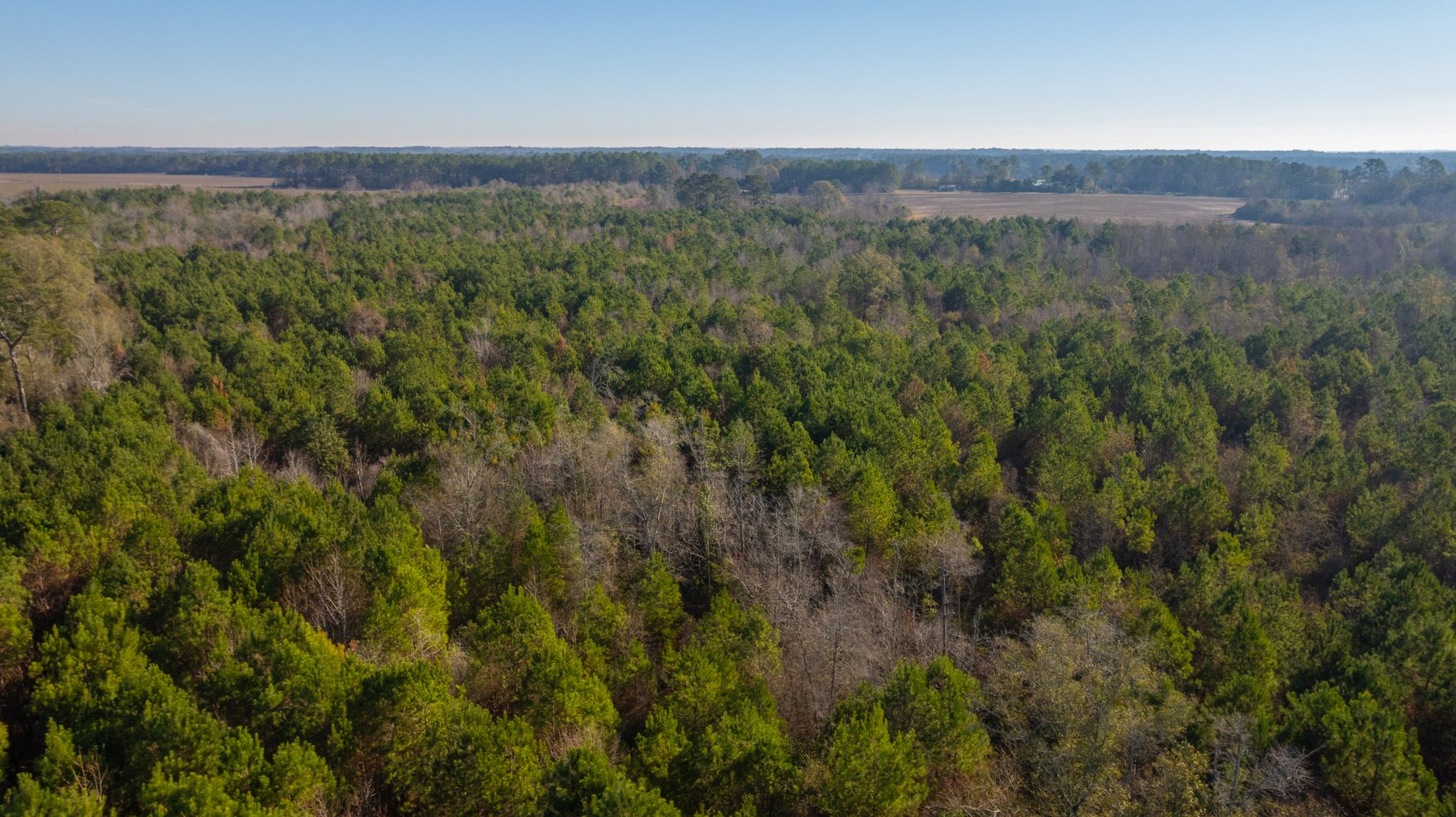 Image for 253+/- Acres - Bear Creek Farm - Sportsman’s Paradise w/ Row Crop Farmland - Premium Hunting & Creek Frontage - Offered Divided & as a whole